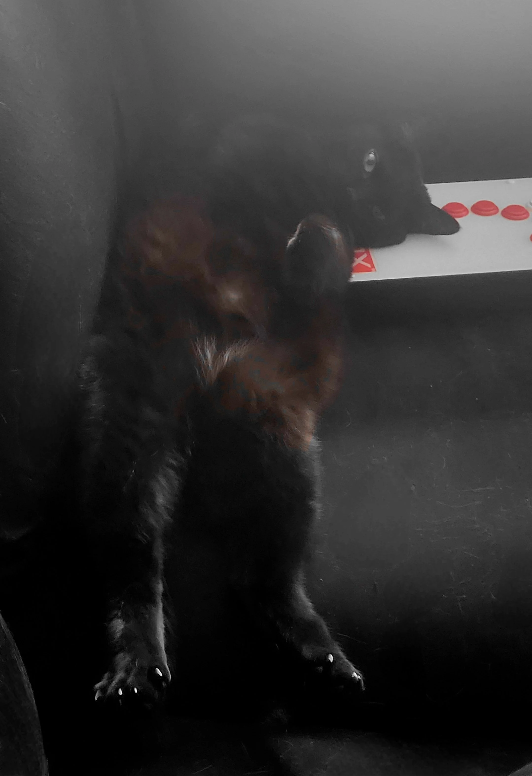 20240622_114537.jpg