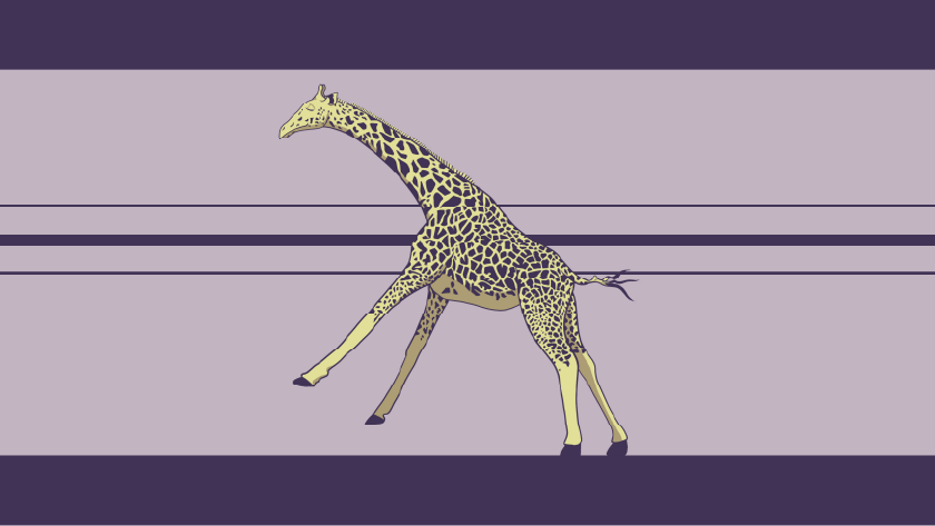 giraffe.webp