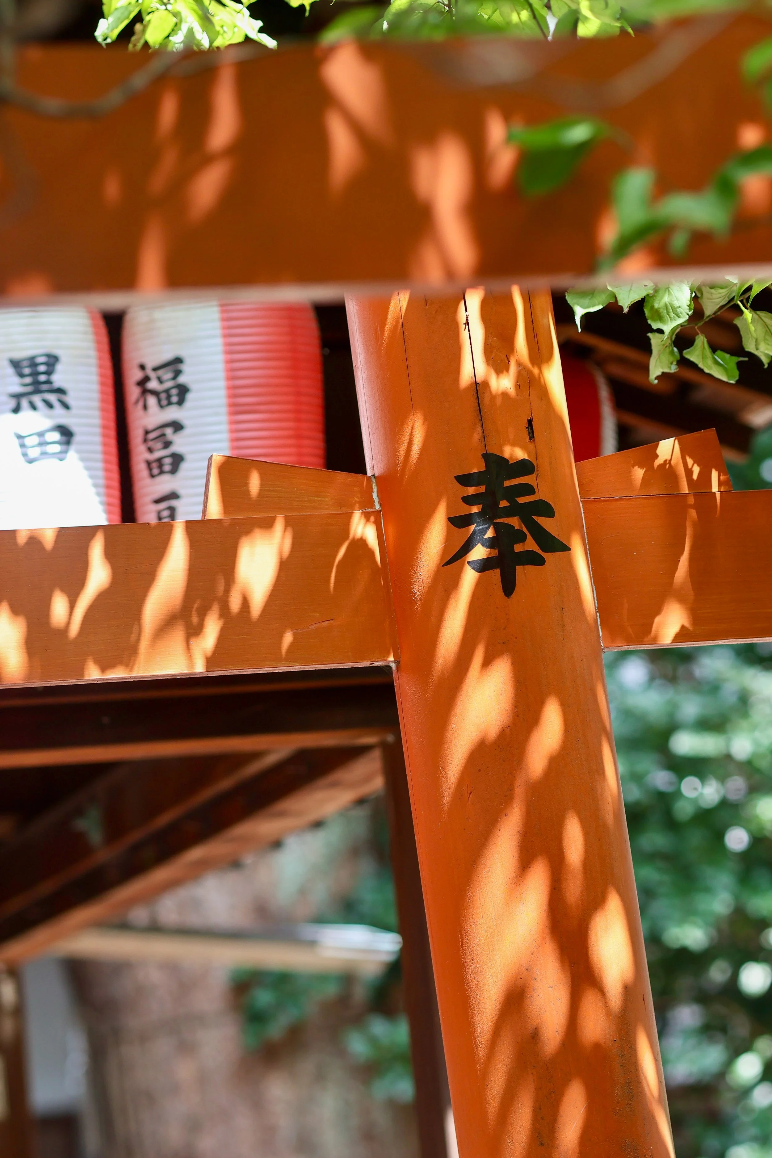 Close-up of a wooden torii gate with Japanese characters painted on it, surrounded by greenery and shadow patterns cast by leaves.