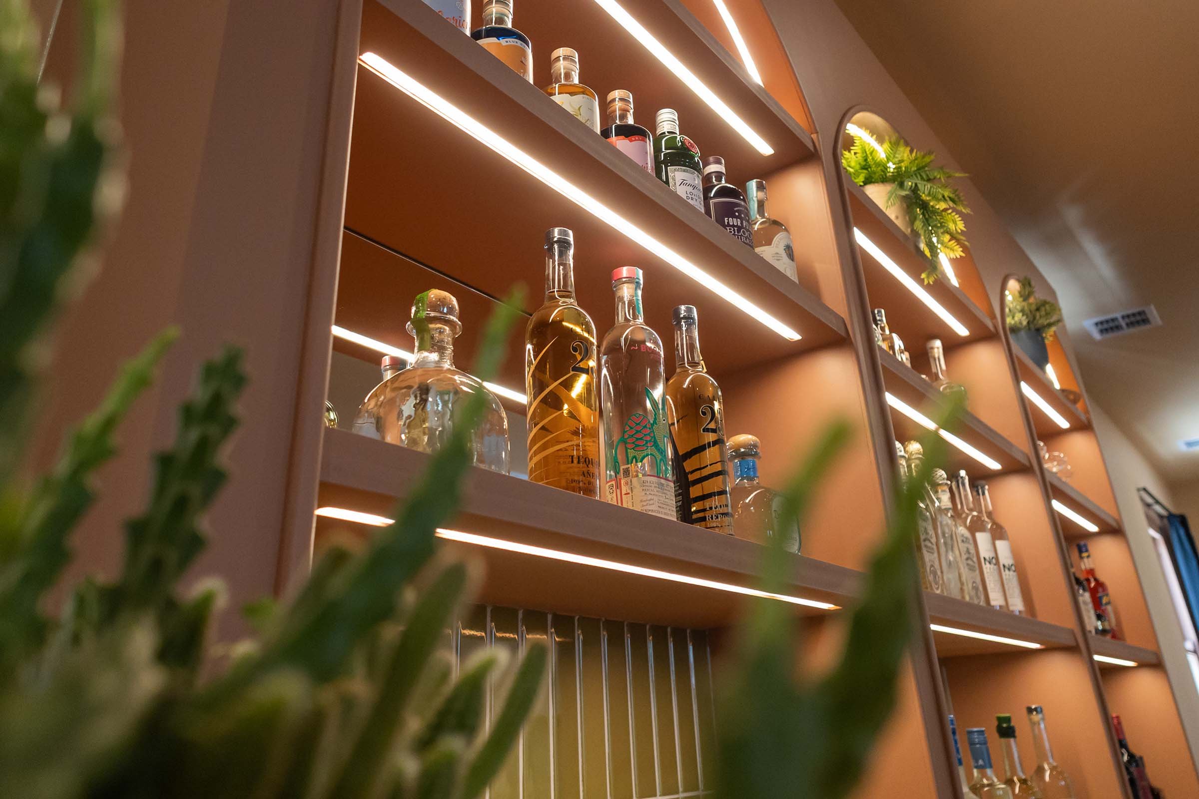 Hotel-Mexico-8-Melbourne-bars-interior-design-BRIGGS.jpg