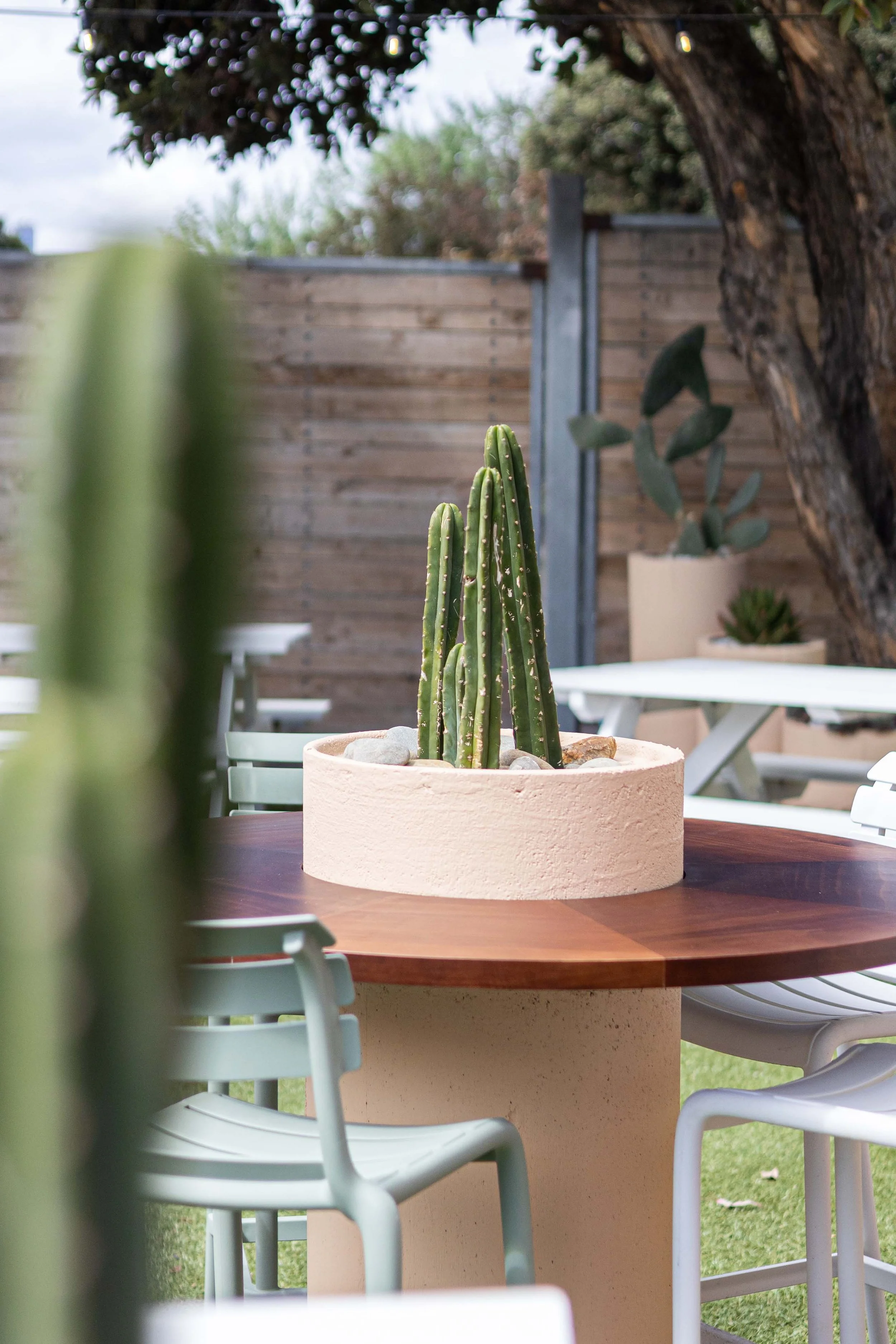 Hotel-Mexico-6-Melbourne-bars-interior-design-BRIGGS.jpg