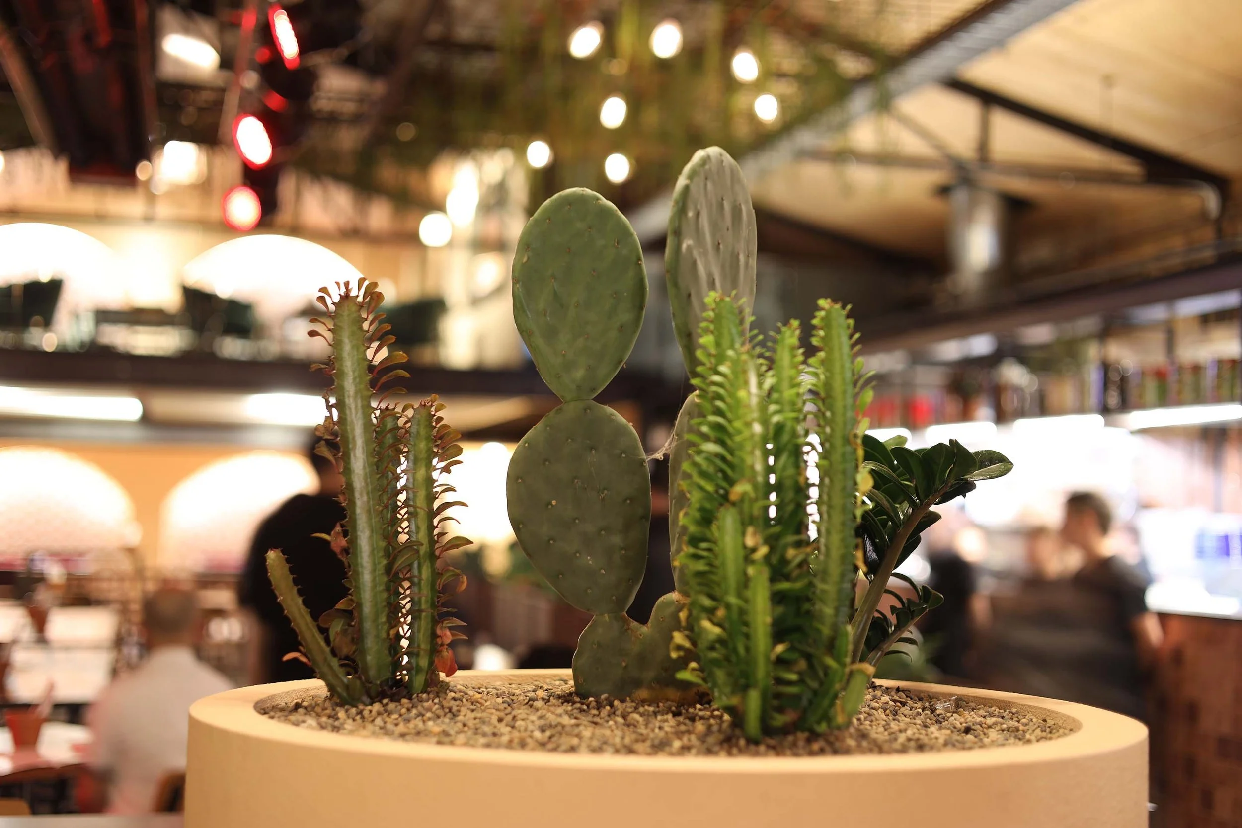 Bar-Mexico-7-Melbourne-bars-interior-design-BRIGGS.jpg