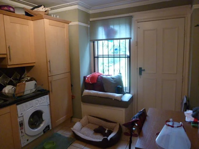 Apartment_Interior_Design-Downsizing-Declutter-Livsmall-Kitchen-Before-BRIGGS-1.JPG