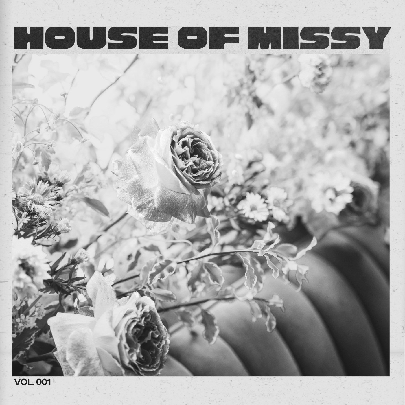 HOUSE OF MISSY