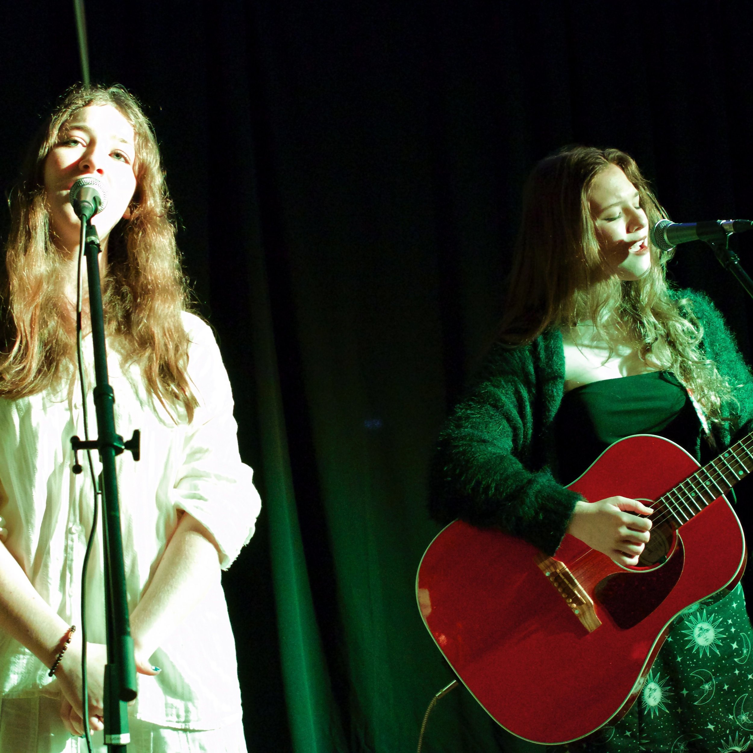 Sophie and Ash performing at VRGT 2025. #communitytalent #viewroyalbc #allages #performingarts #entertainment #shows #yyj #crdarts #townofviewroyal #westshore
