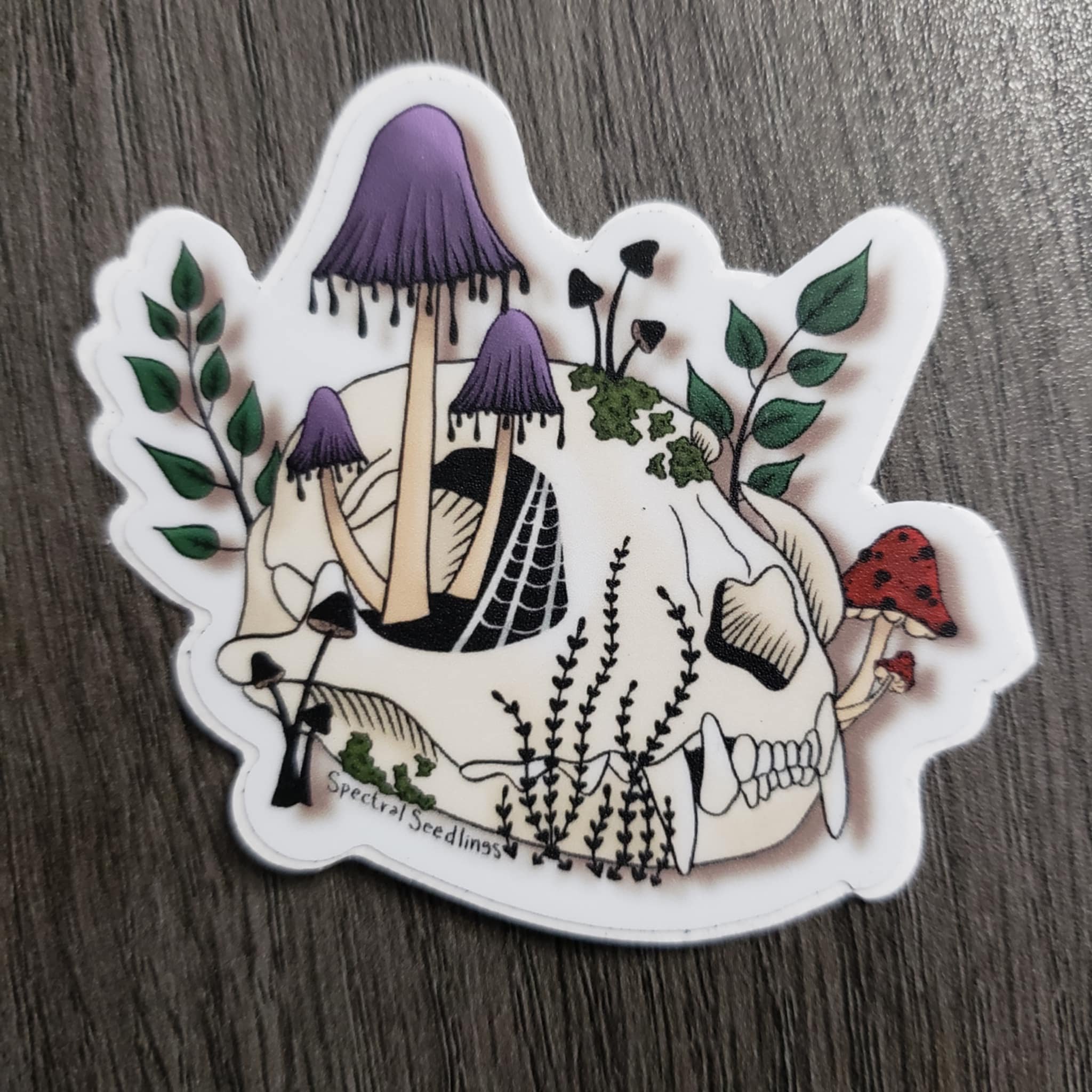 sticker - catskull.jpg