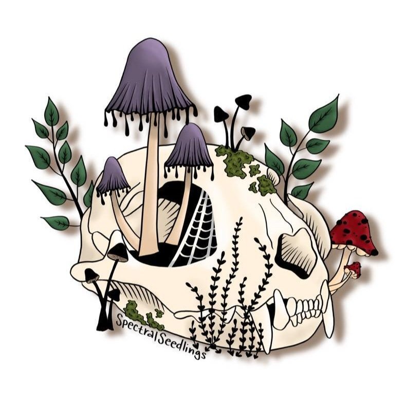 Cat Skull Sticker