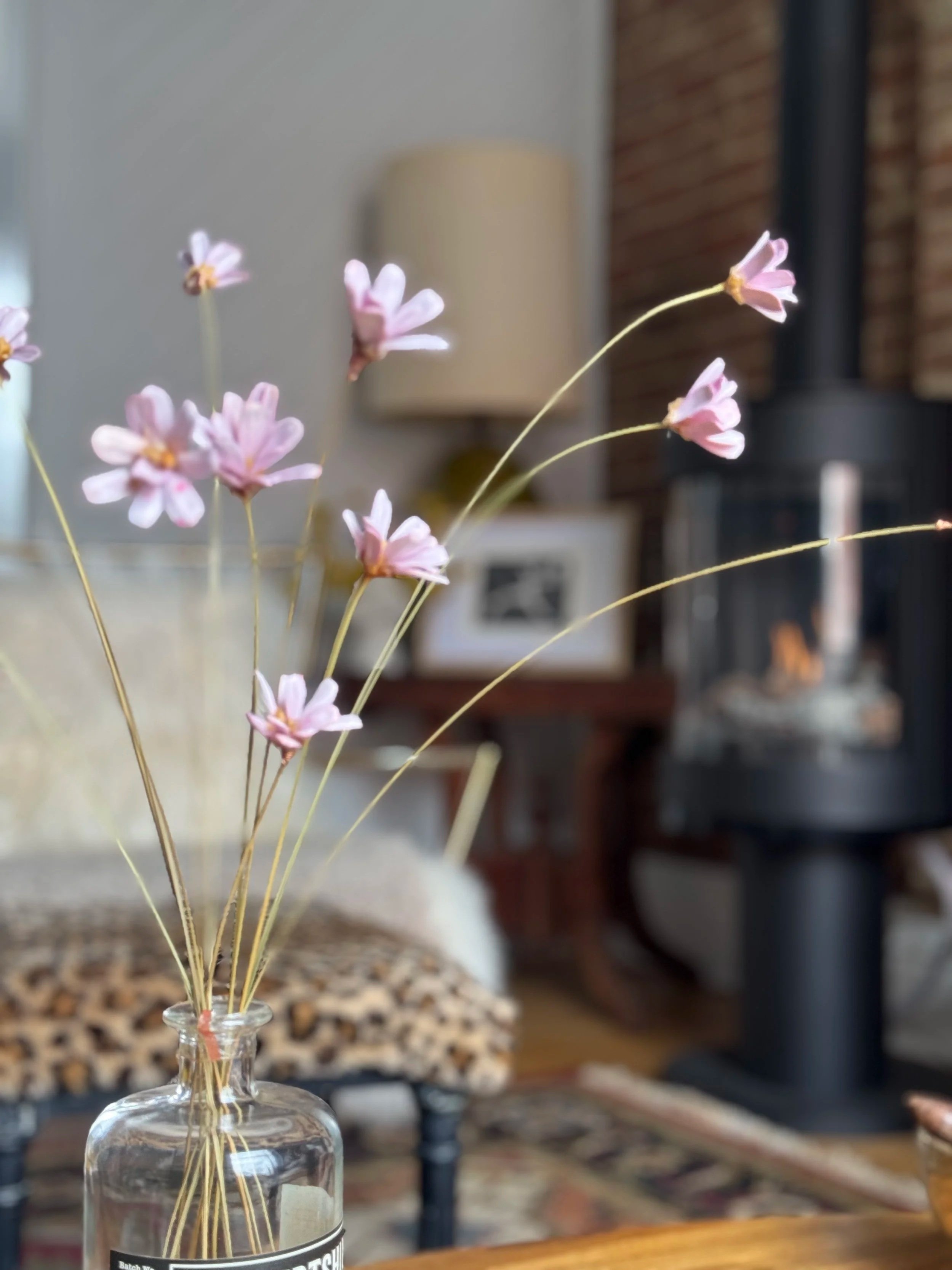 Delicate pink flowers in a glass bottle in a cozy living room with a wood stove