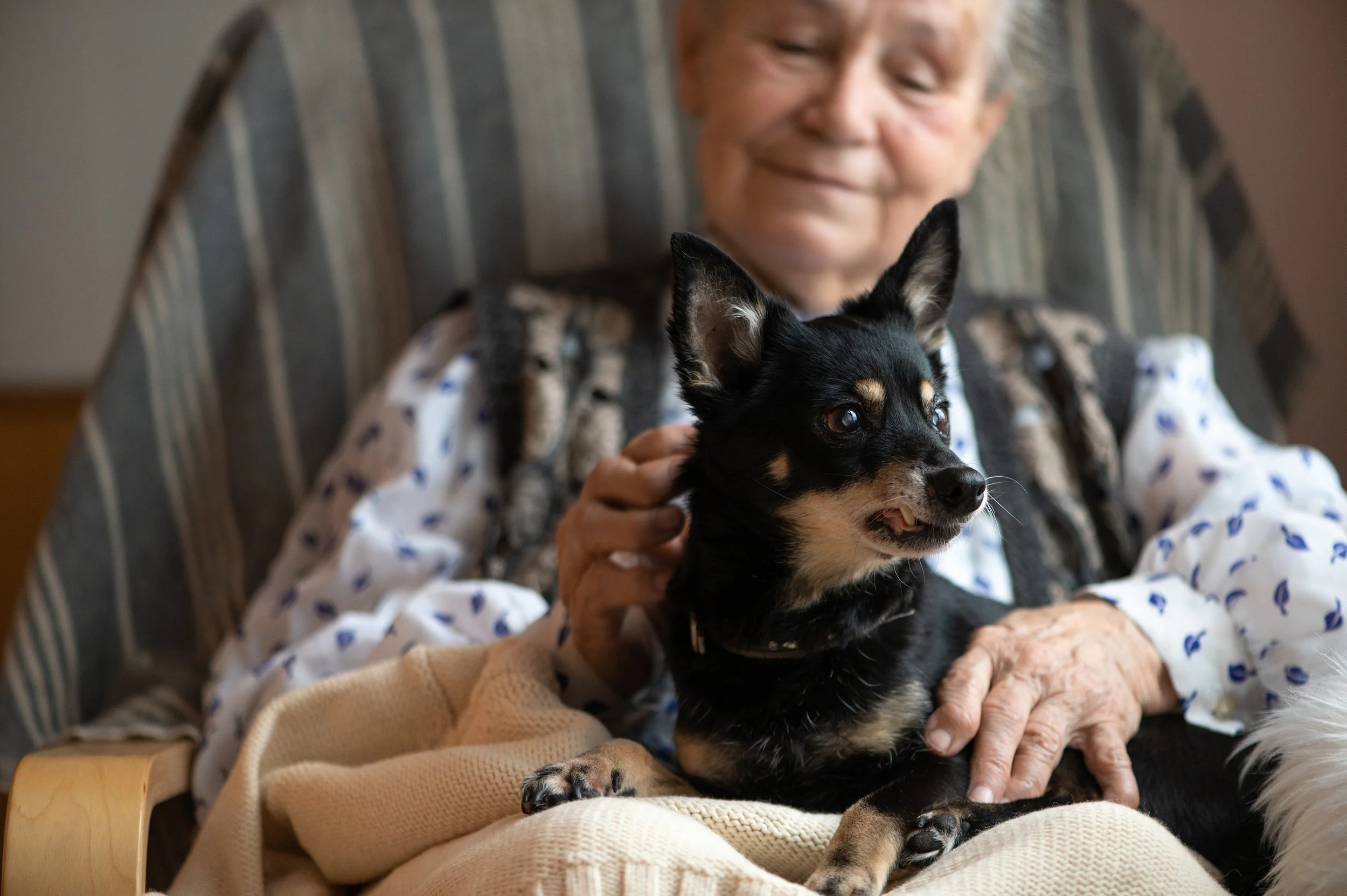 Pets, Plants, and Companionship: Small Joys That Boost Mental Health