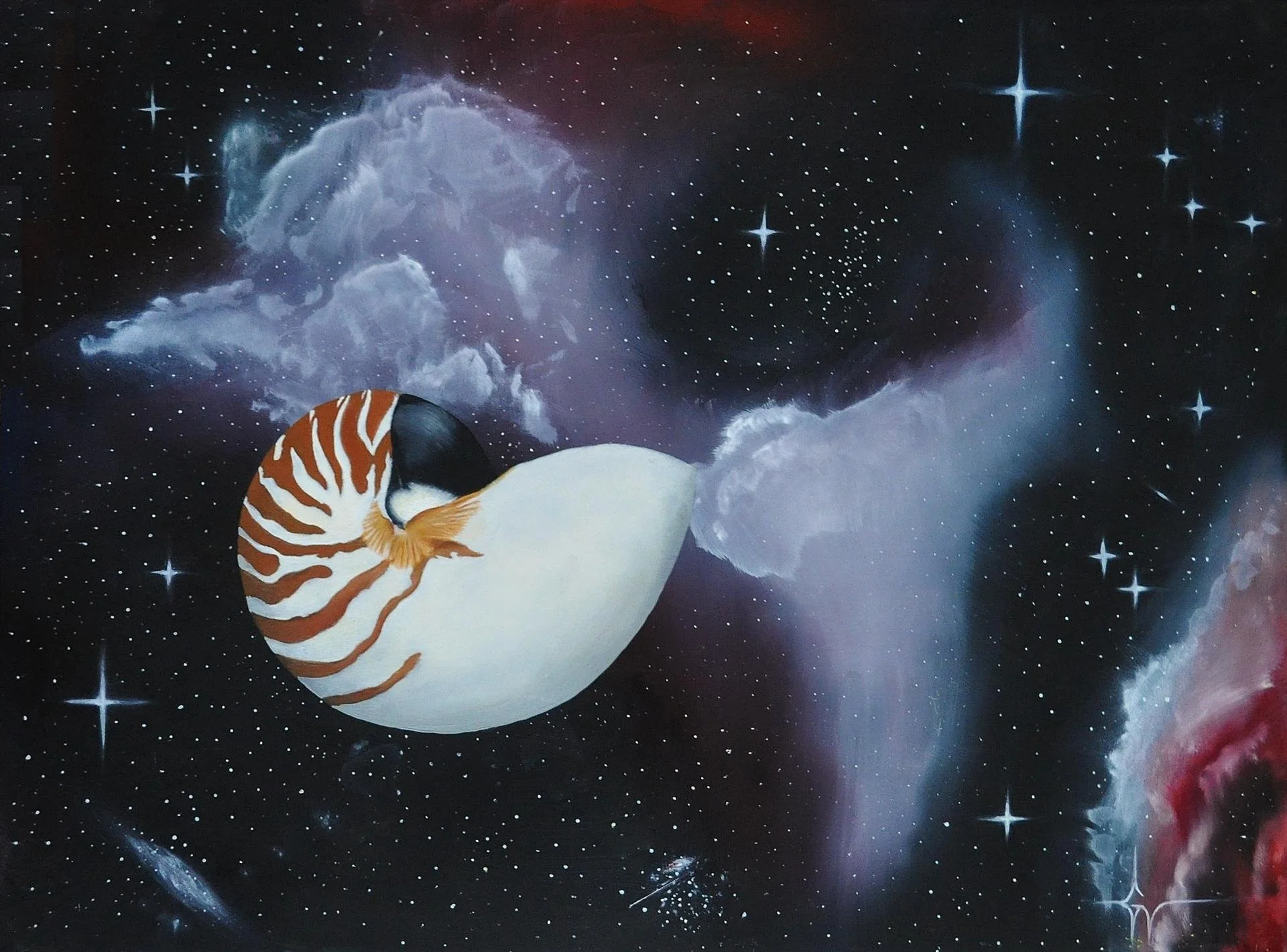 Original Oil Paintings