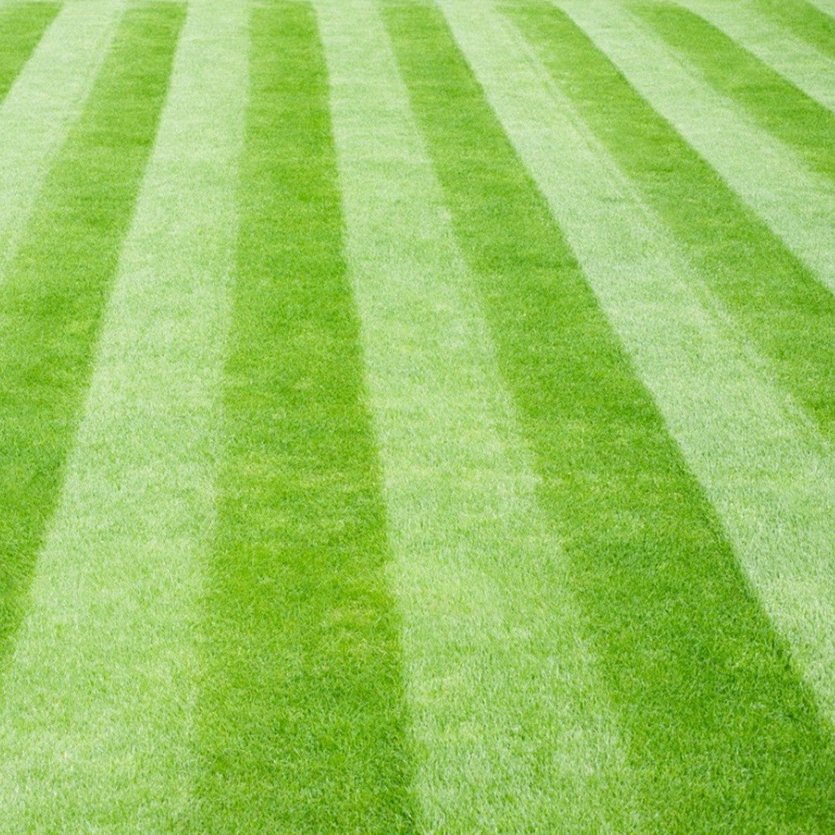 Stripe pattern (SQUARE).jpg