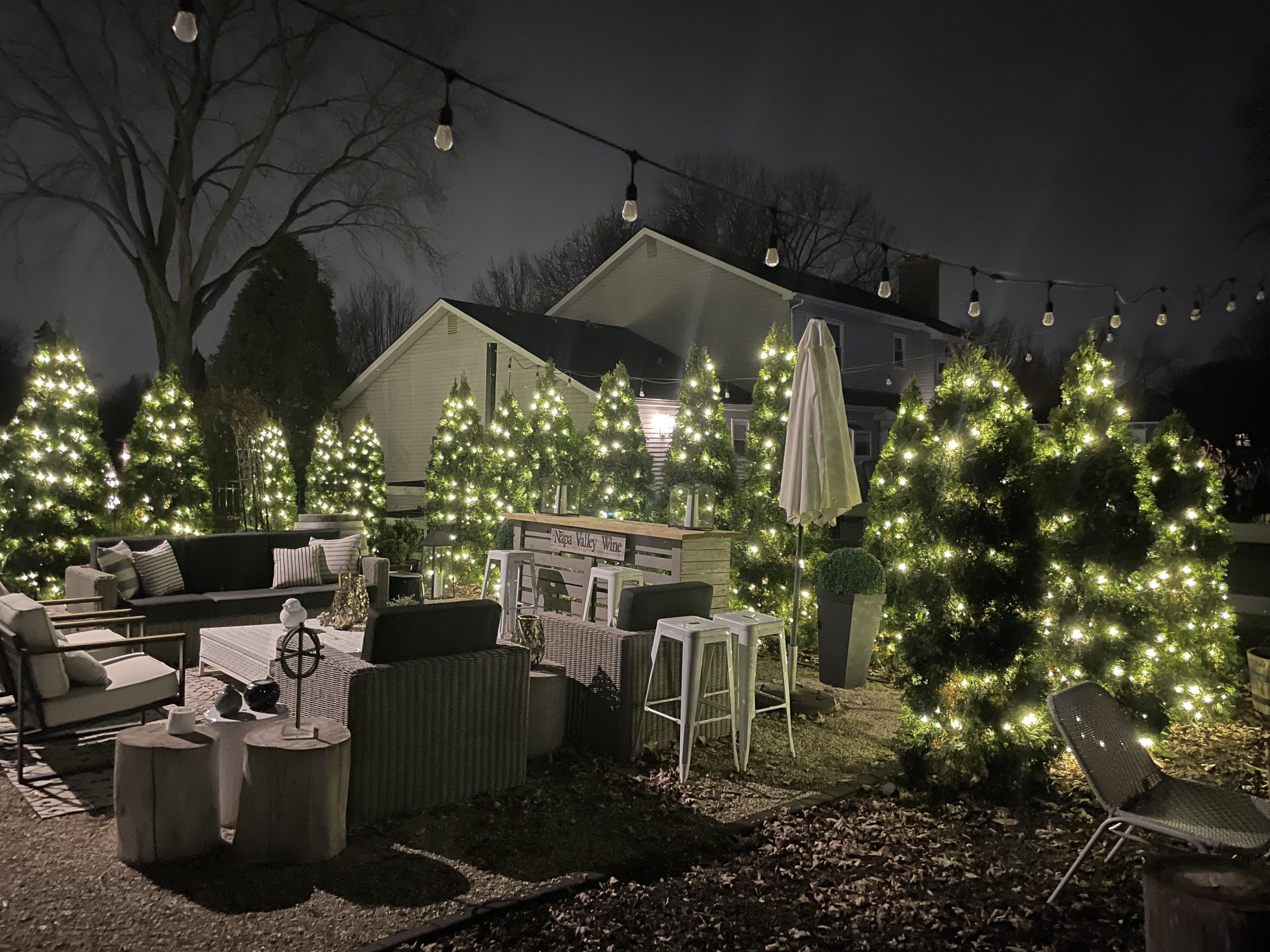 adam backyard.png
