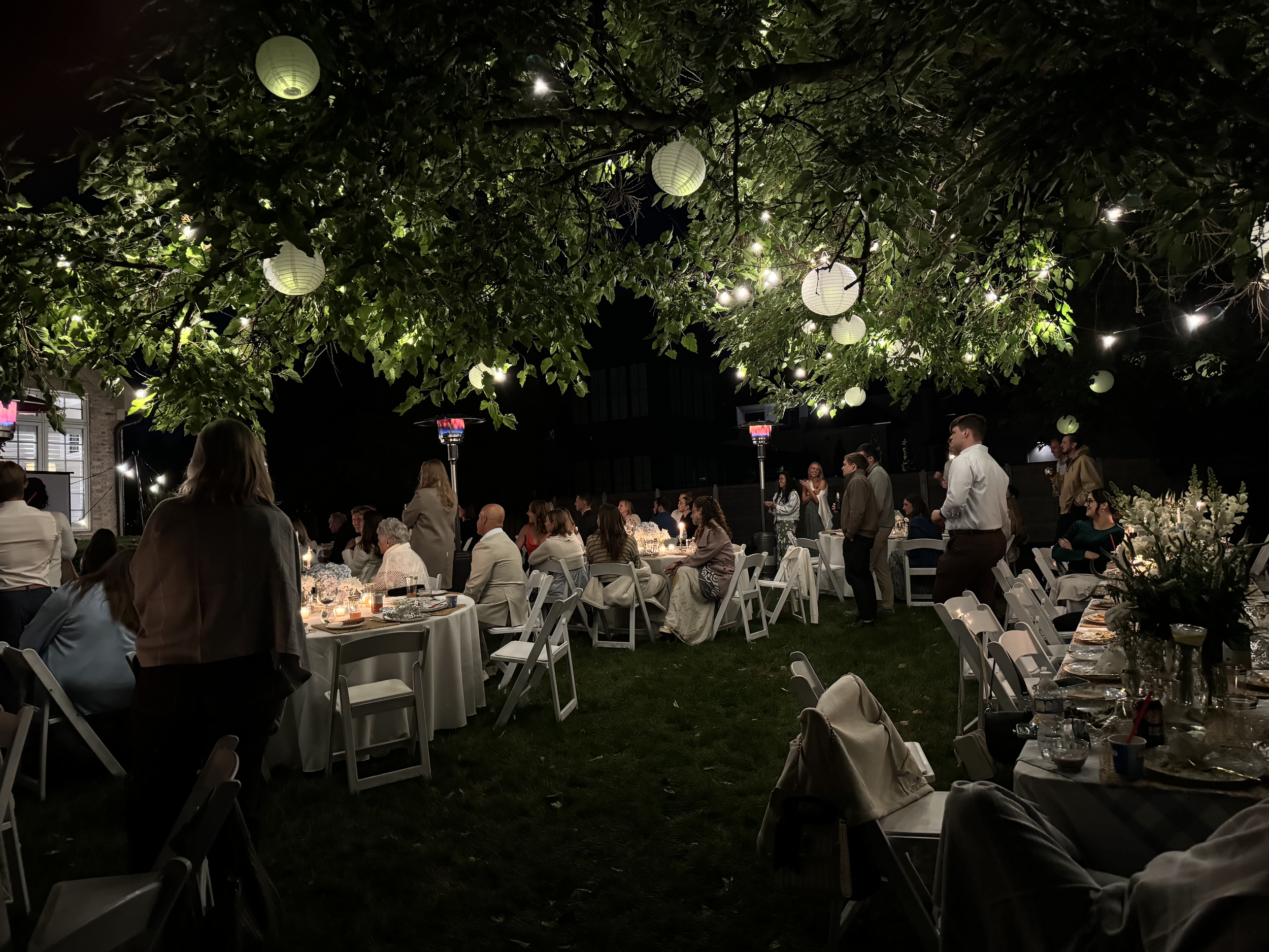 backyard 3.png