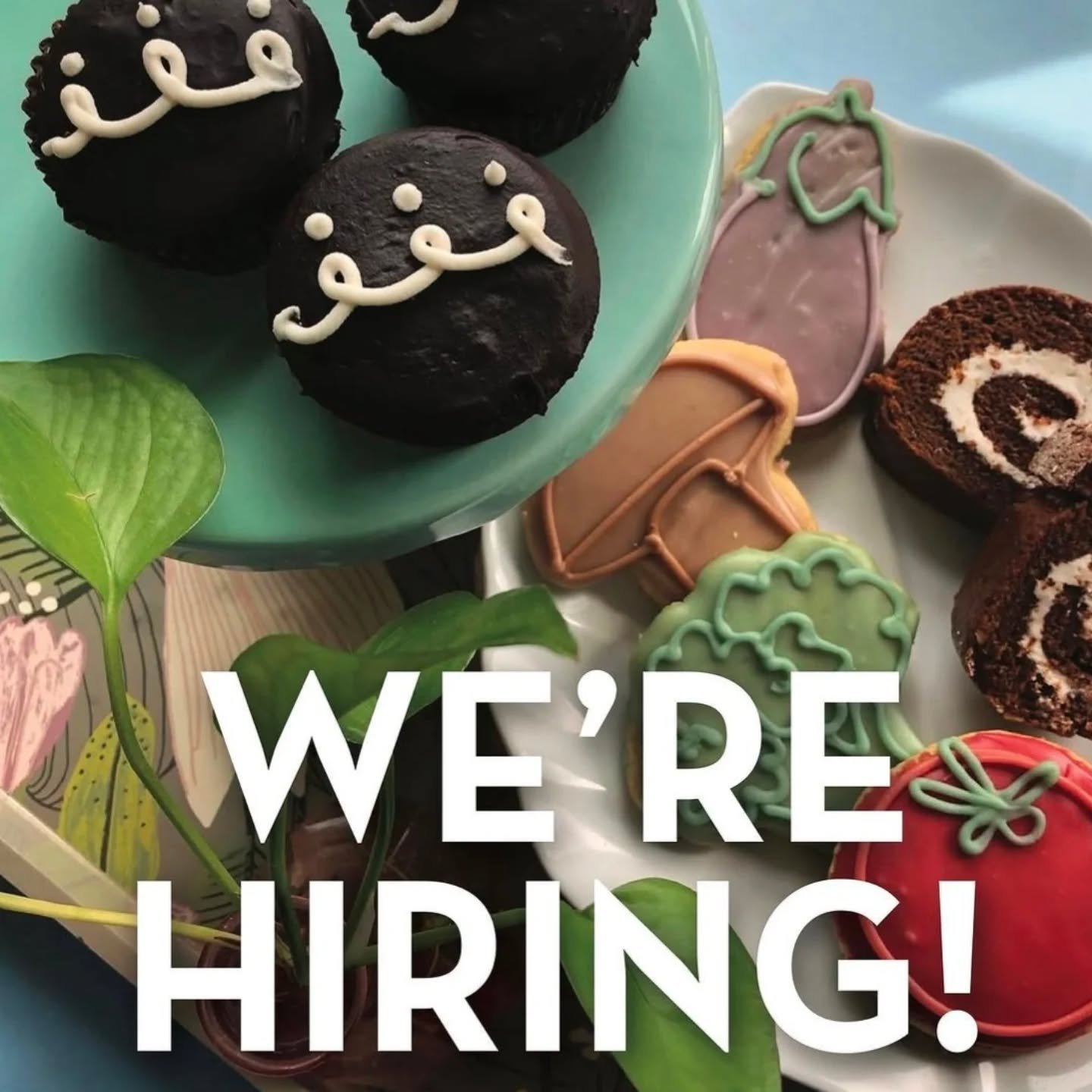 we are hiring one full time worker! 
-starting at a guaranteed $16 an hour + $2-4 hour tip share 
-dental, vision, short term disability, and generous PTO
-supportive and affirming work environment 
-opportunity for co-ownership 
-no need for being u