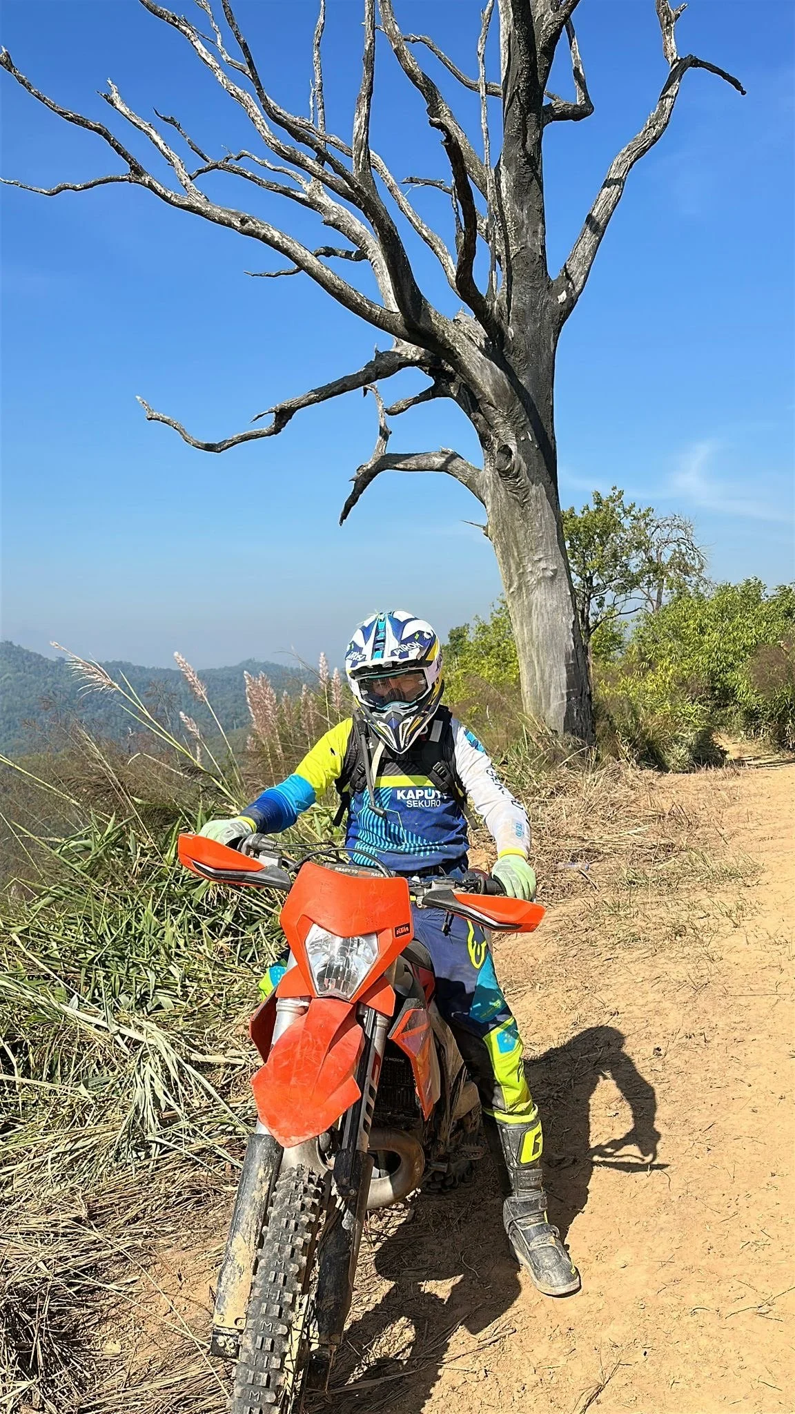 A mountain biker in gear riding a dirt trail in a dry, grassy landscape with a leafless tree and distant hills under a blue sky.