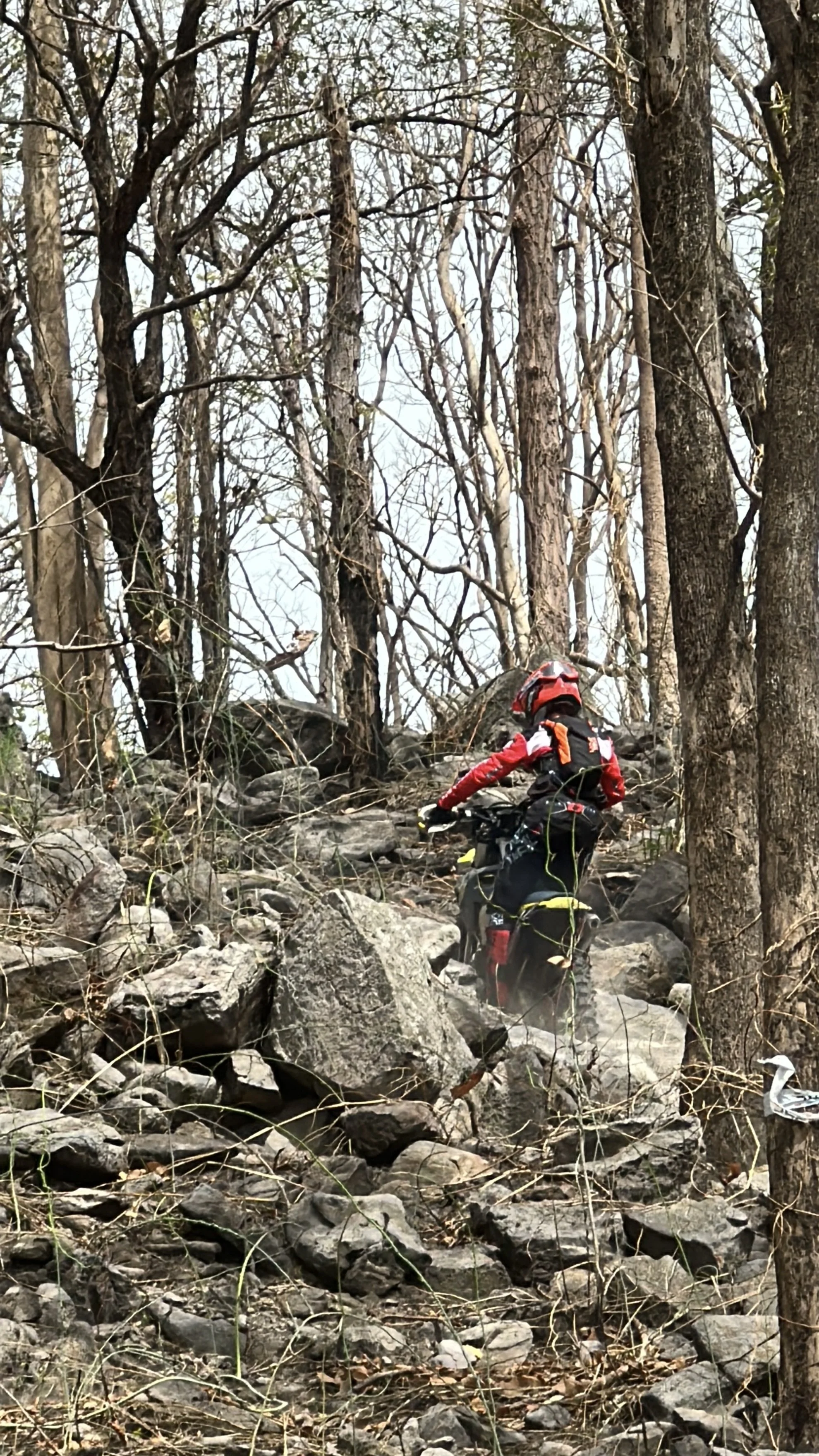 A person dressed in red and black outdoor gear, including a helmet, climbing a rocky and wooded trail.