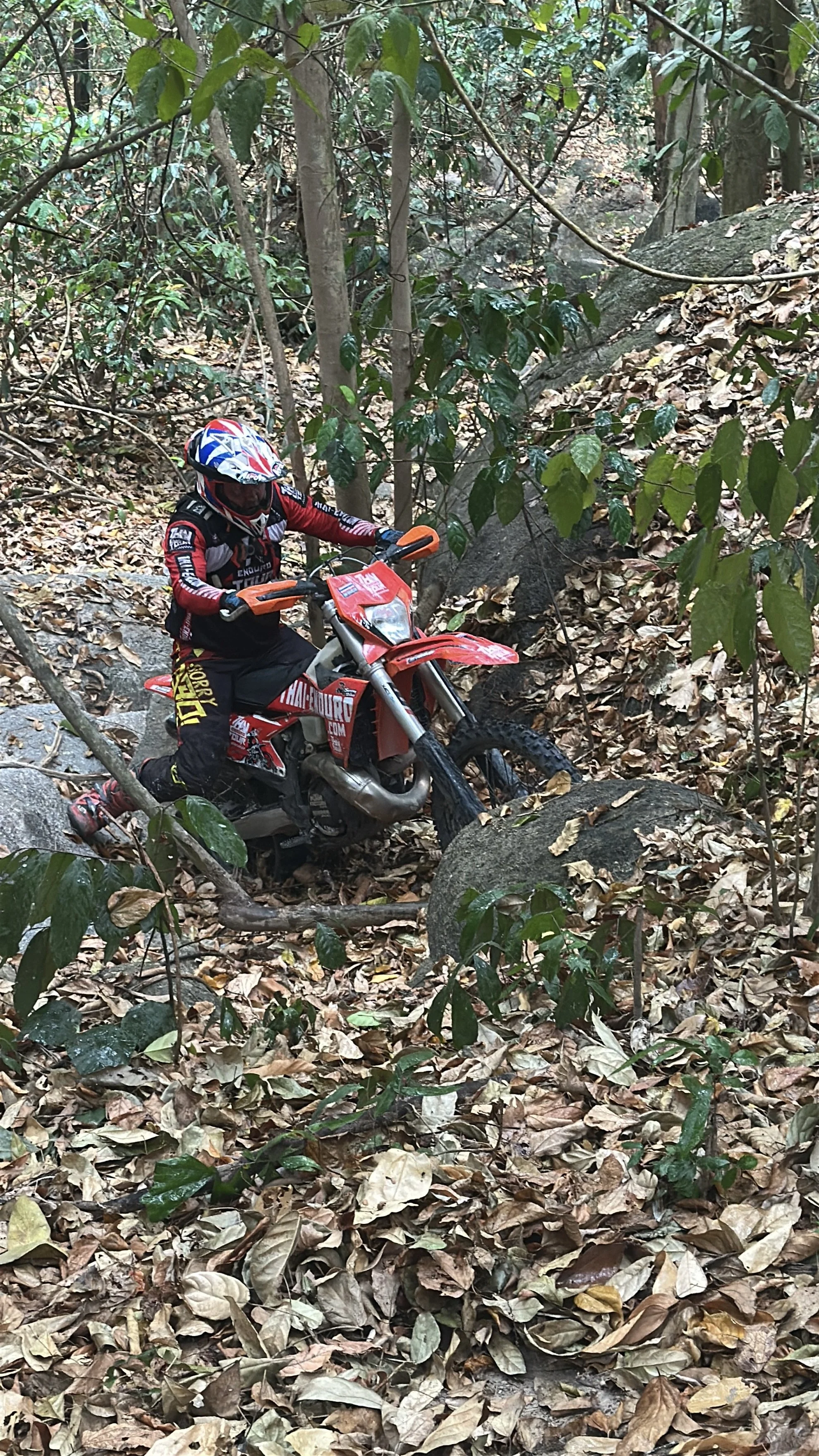 Person riding a red off-road motorcycle through a forest trail covered with dry leaves and rocks.