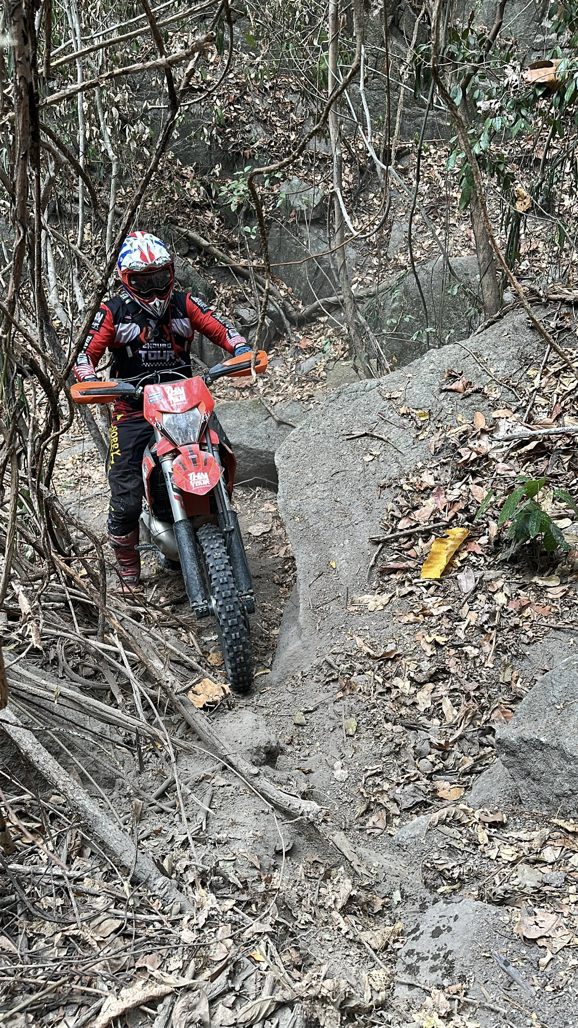 A person wearing a red and black motocross outfit and helmet riding a dirt bike on a narrow, rocky forest trail with leaves and branches.