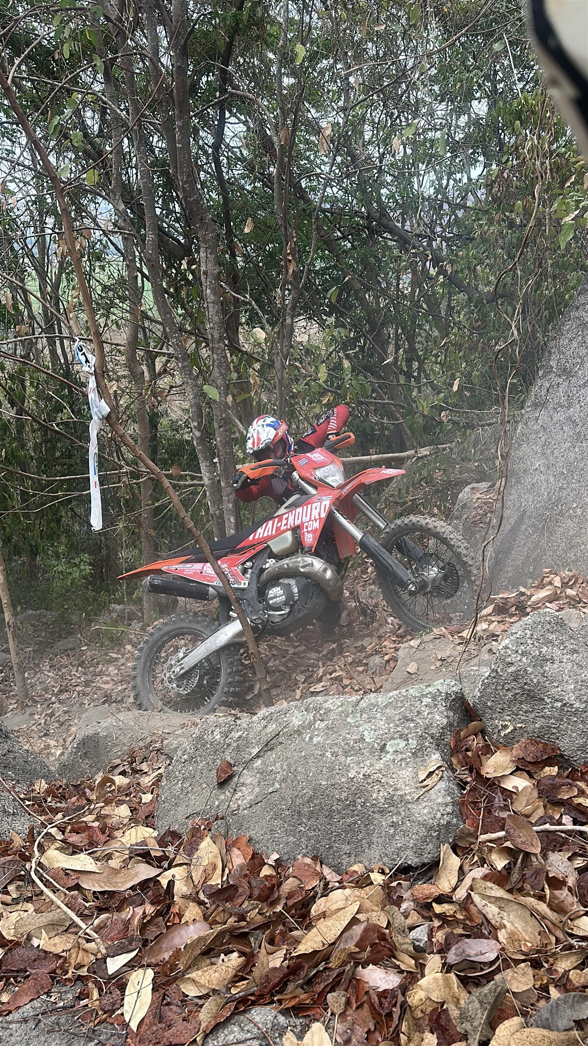 Red off-road motocross bike leaning against a rock and trees in a wooded area, with fallen leaves on the ground.