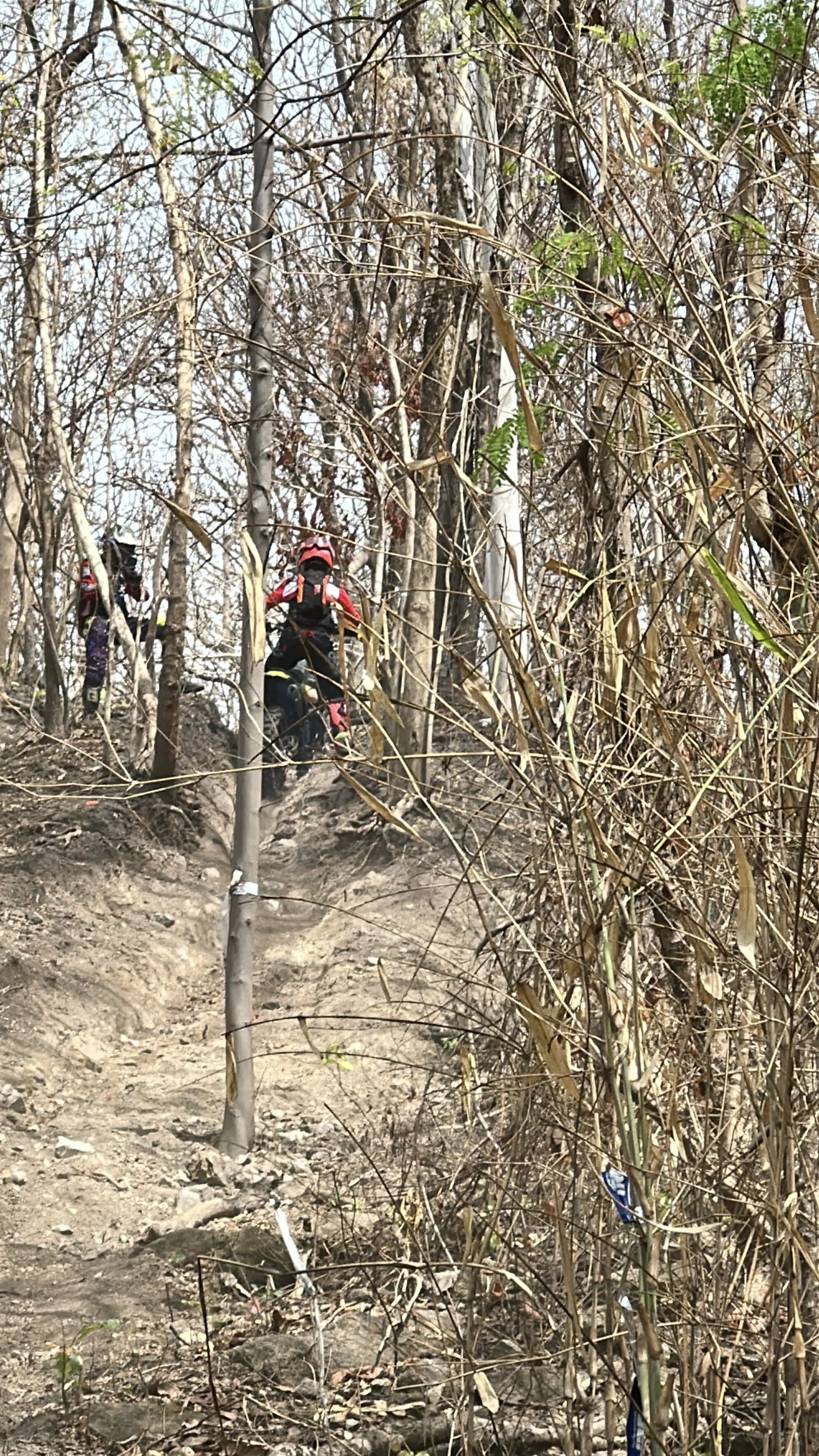Two mountain bikers wearing protective gear and backpacks riding on a dirt trail through a wooded area with sparse trees and dry foliage.