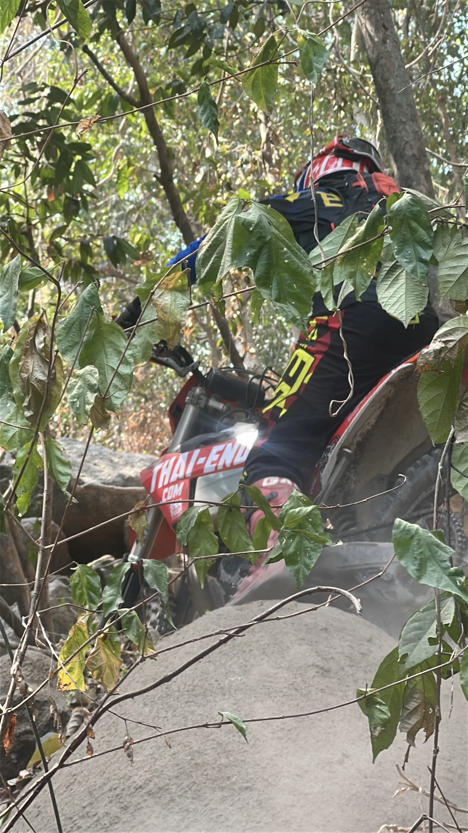 Motocross rider navigating through a wooded trail, partially obscured by green leaves and branches.