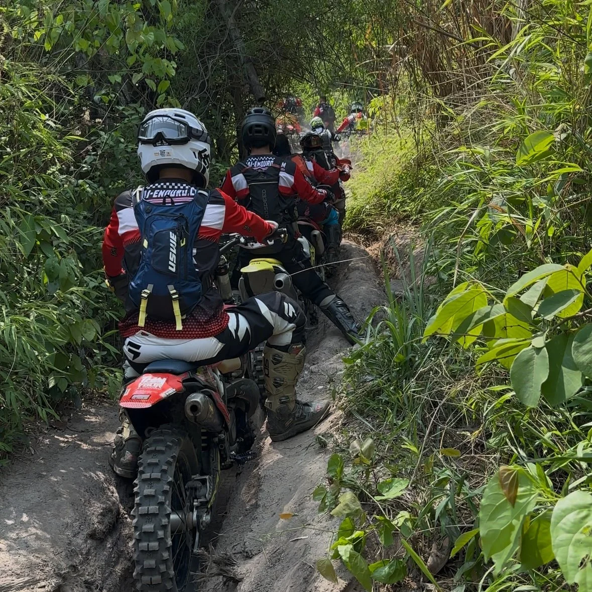 Enduro Tour Thailand group riding singletrack jungle trail surrounded by dense green foliage