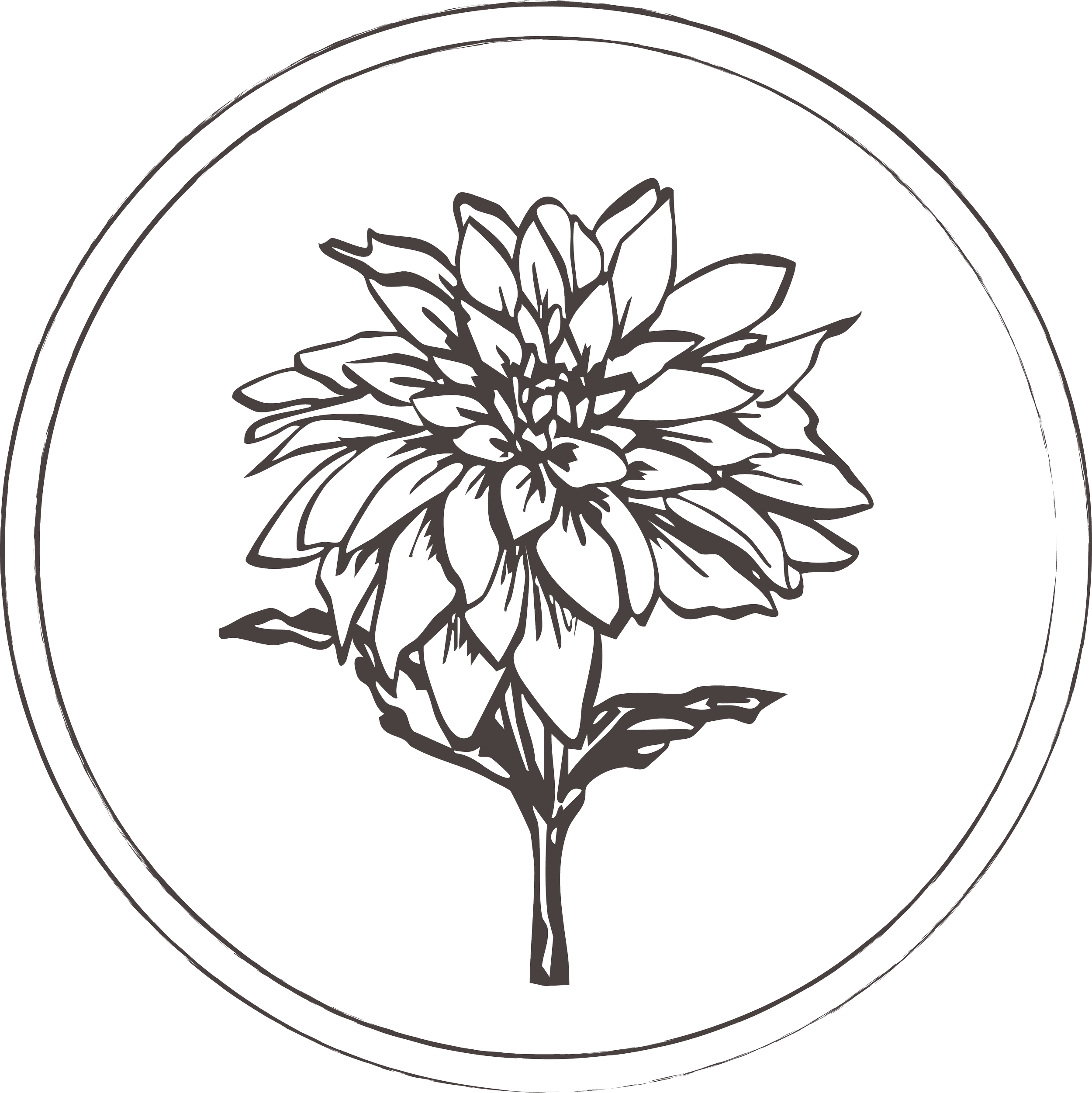 Blush Your Heart Wedding Company Logo Black and white line drawing of a Dahlia within a circle.
