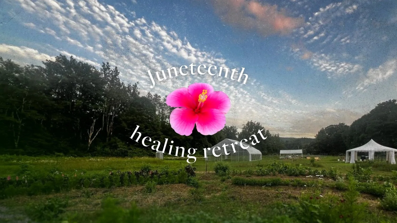 juneteenth header (1).jpg