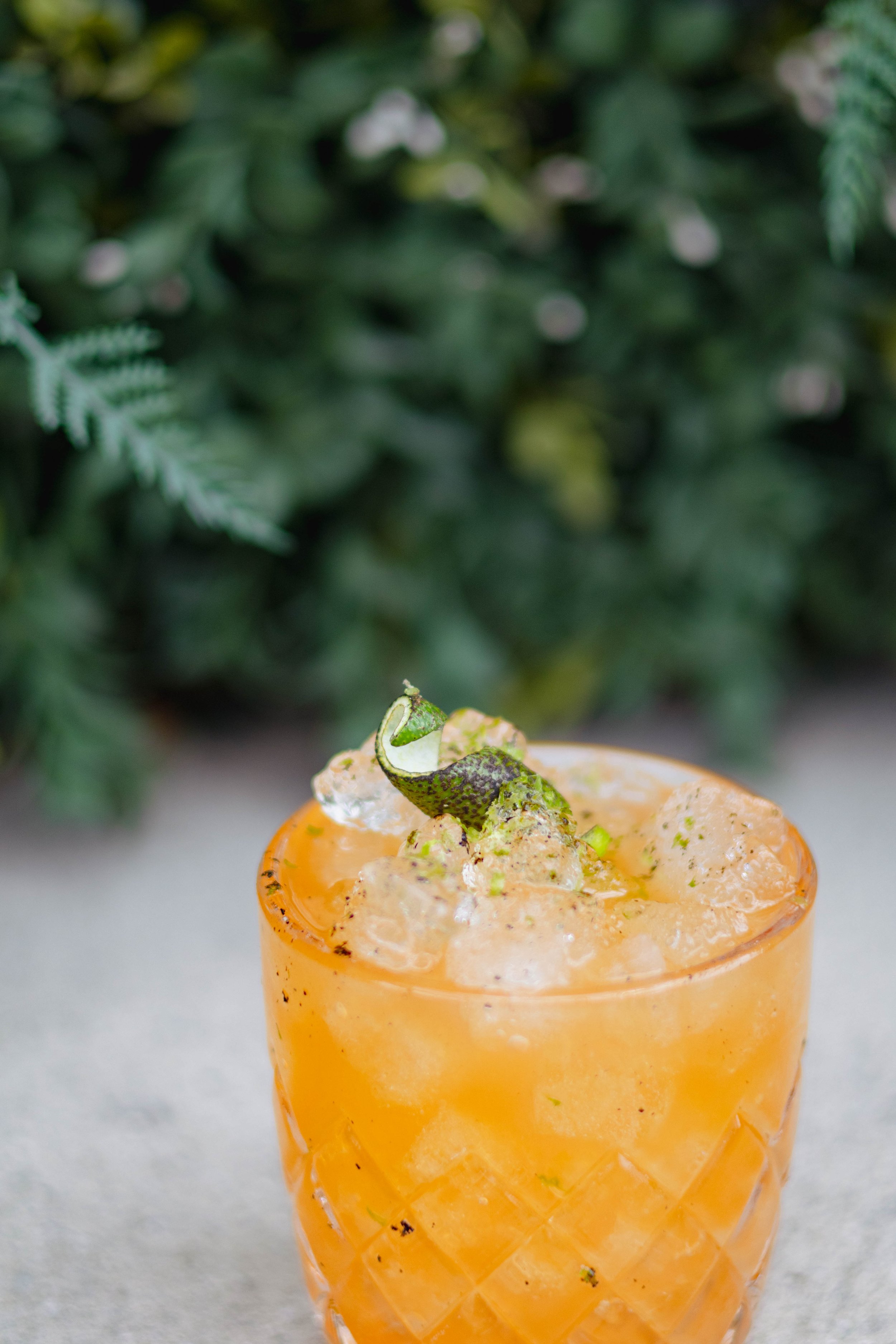 Photo May 25 2025, 11 00 25 AM.jpg