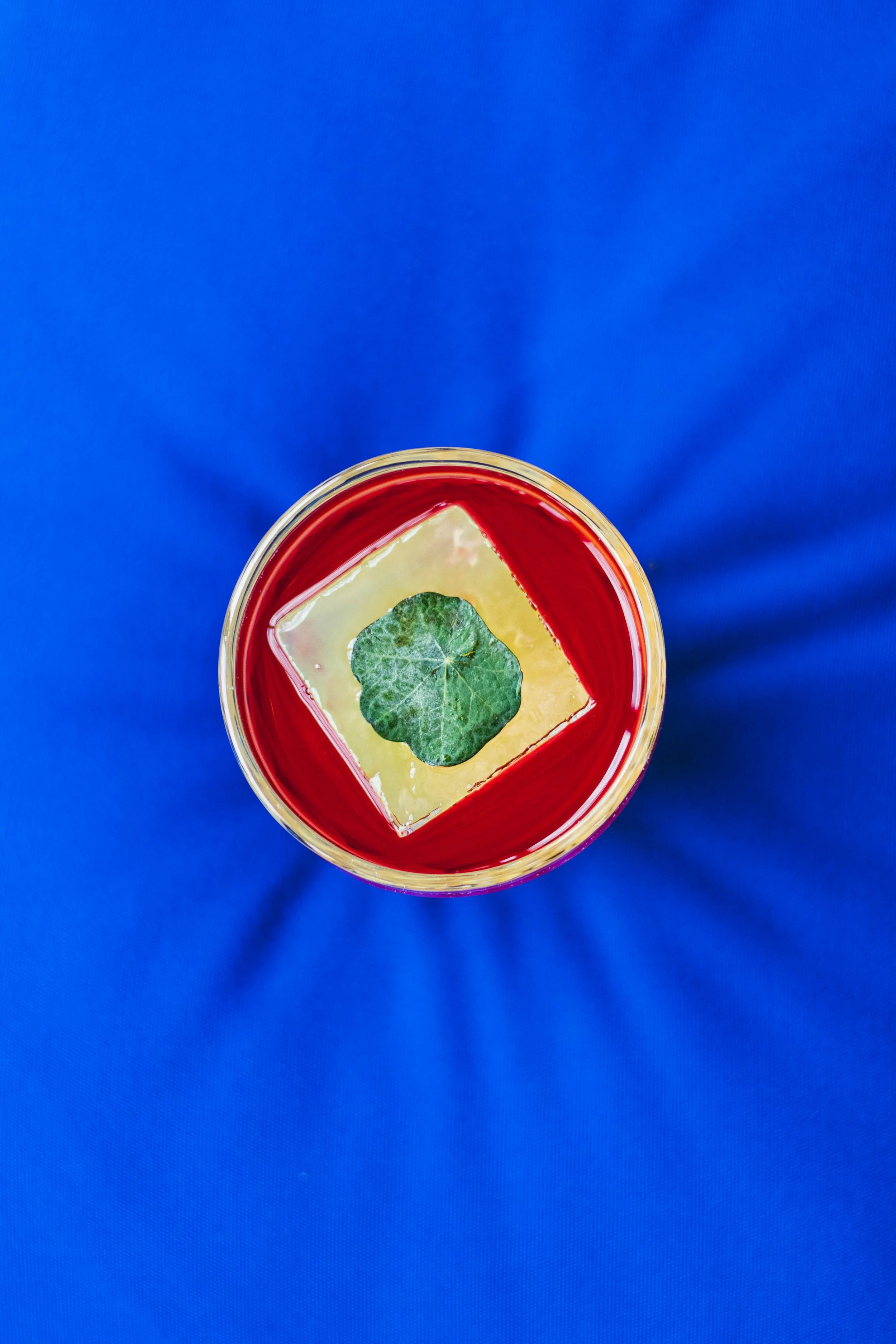 Photo May 25 2025, 10 39 20 AM.jpg