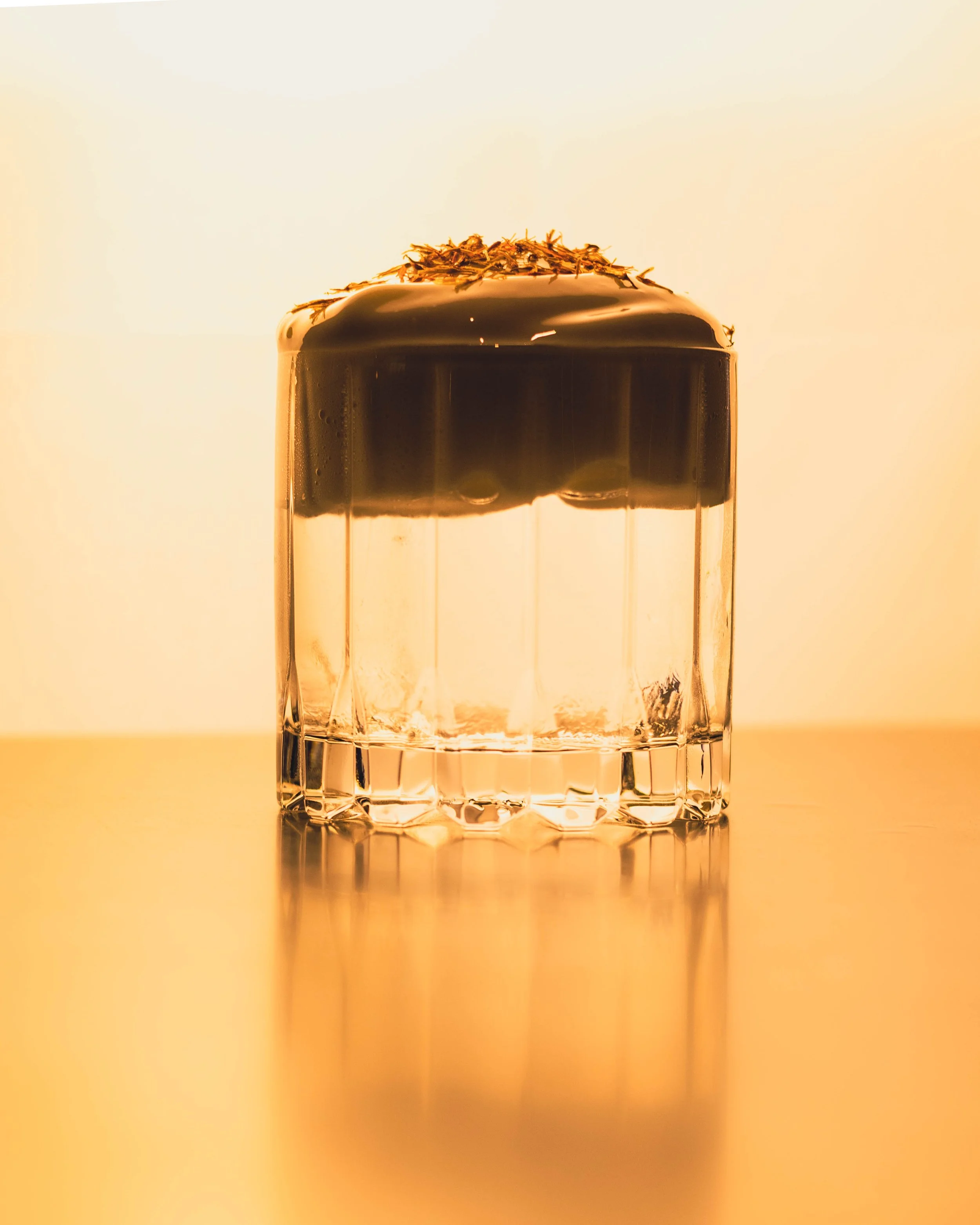 Photo May 25 2025, 12 45 35 PM.jpg