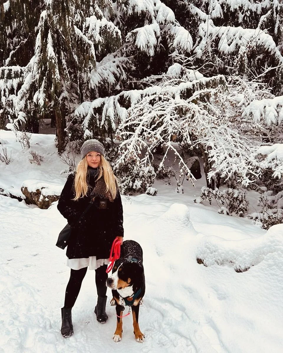 First Snow ❄️ 
&bull;
Four Seasons Resort | Whistler 
&bull;
#mountaindog #whistler #fourseasons #firstsnow