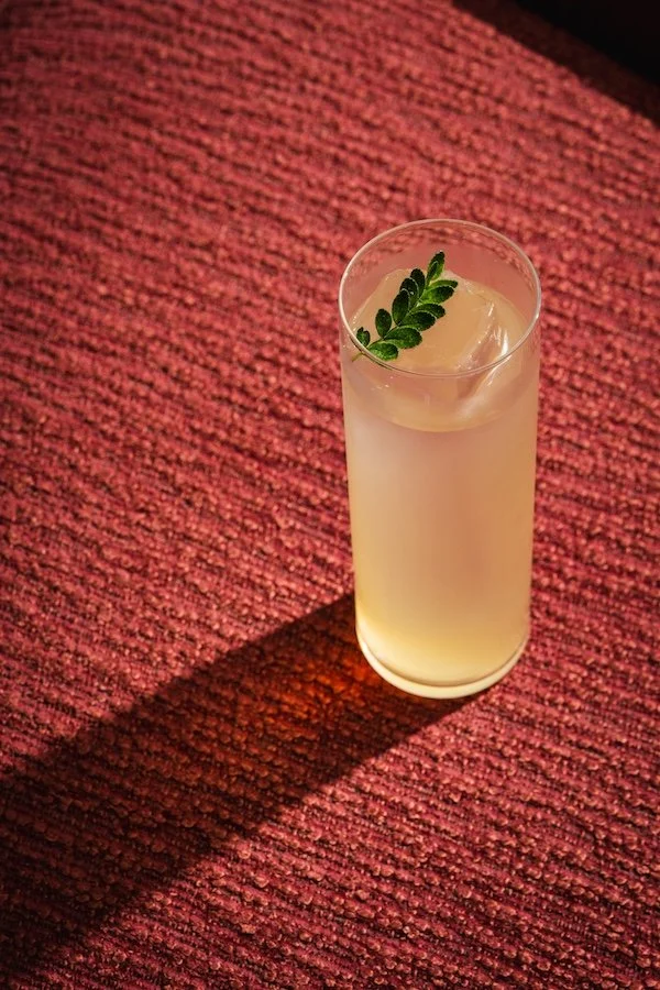 BEST Harmony Highball Zoom Out.jpg