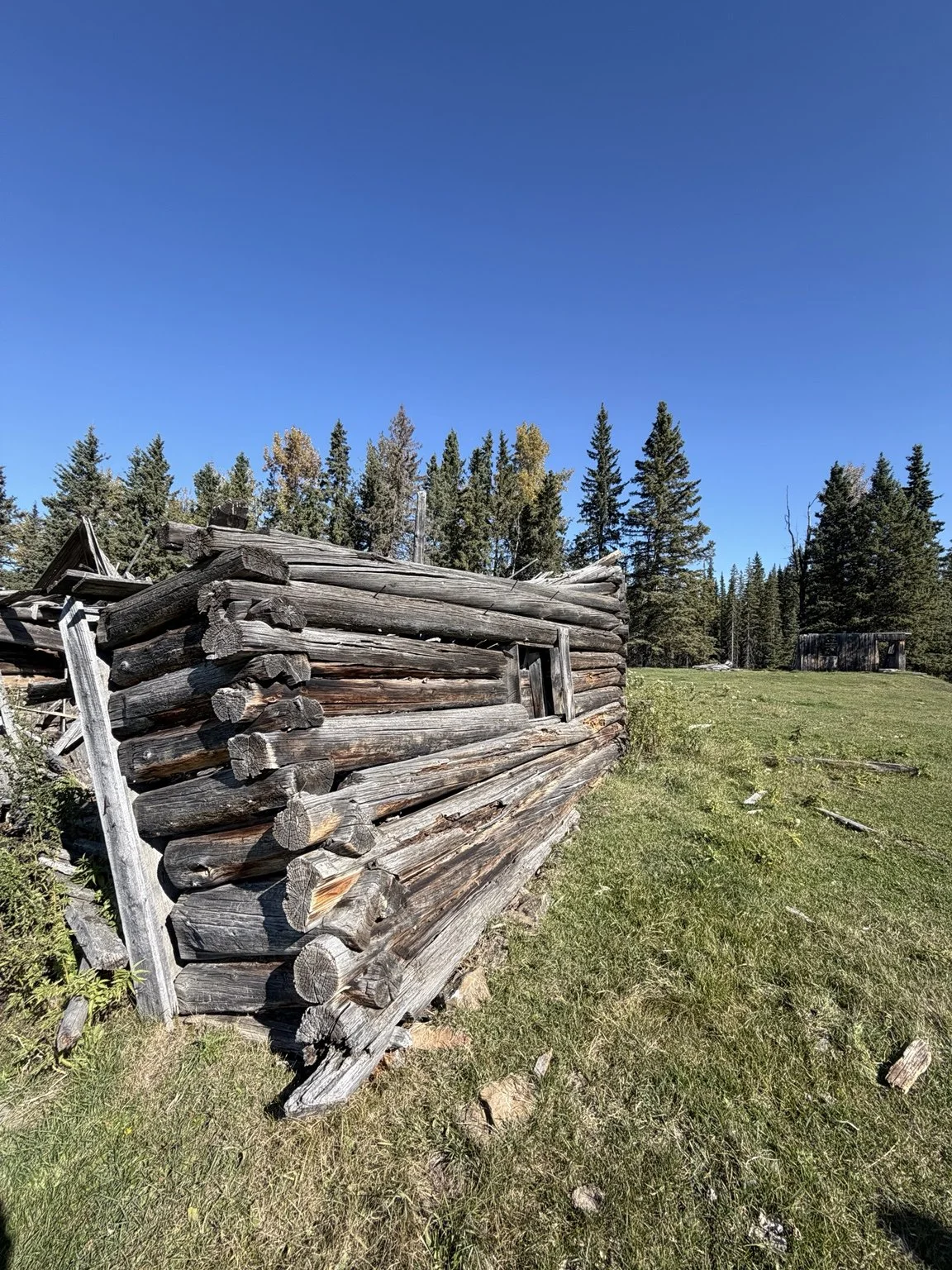 homestead.jpeg