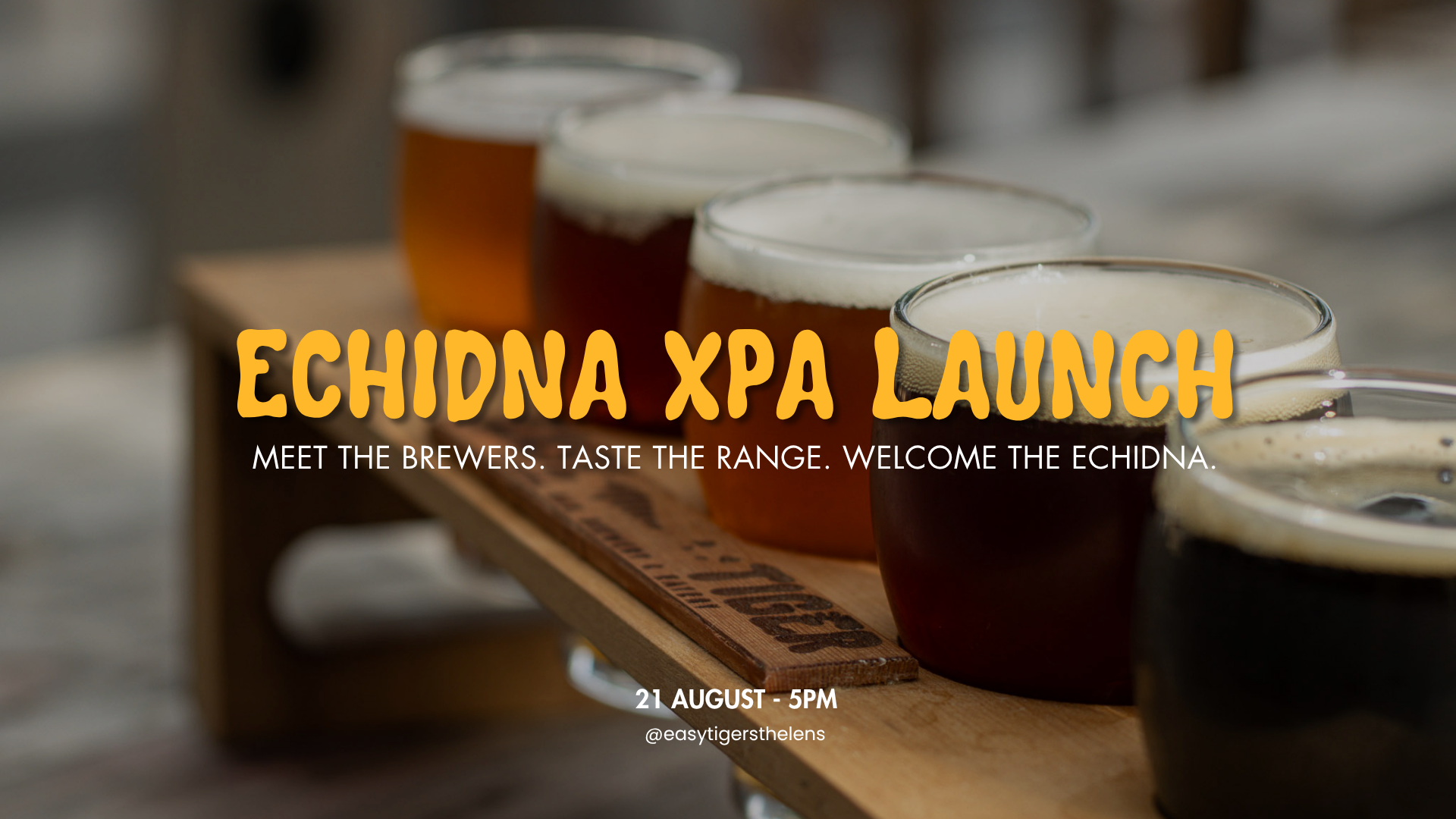 Echidna XPA Launch Night