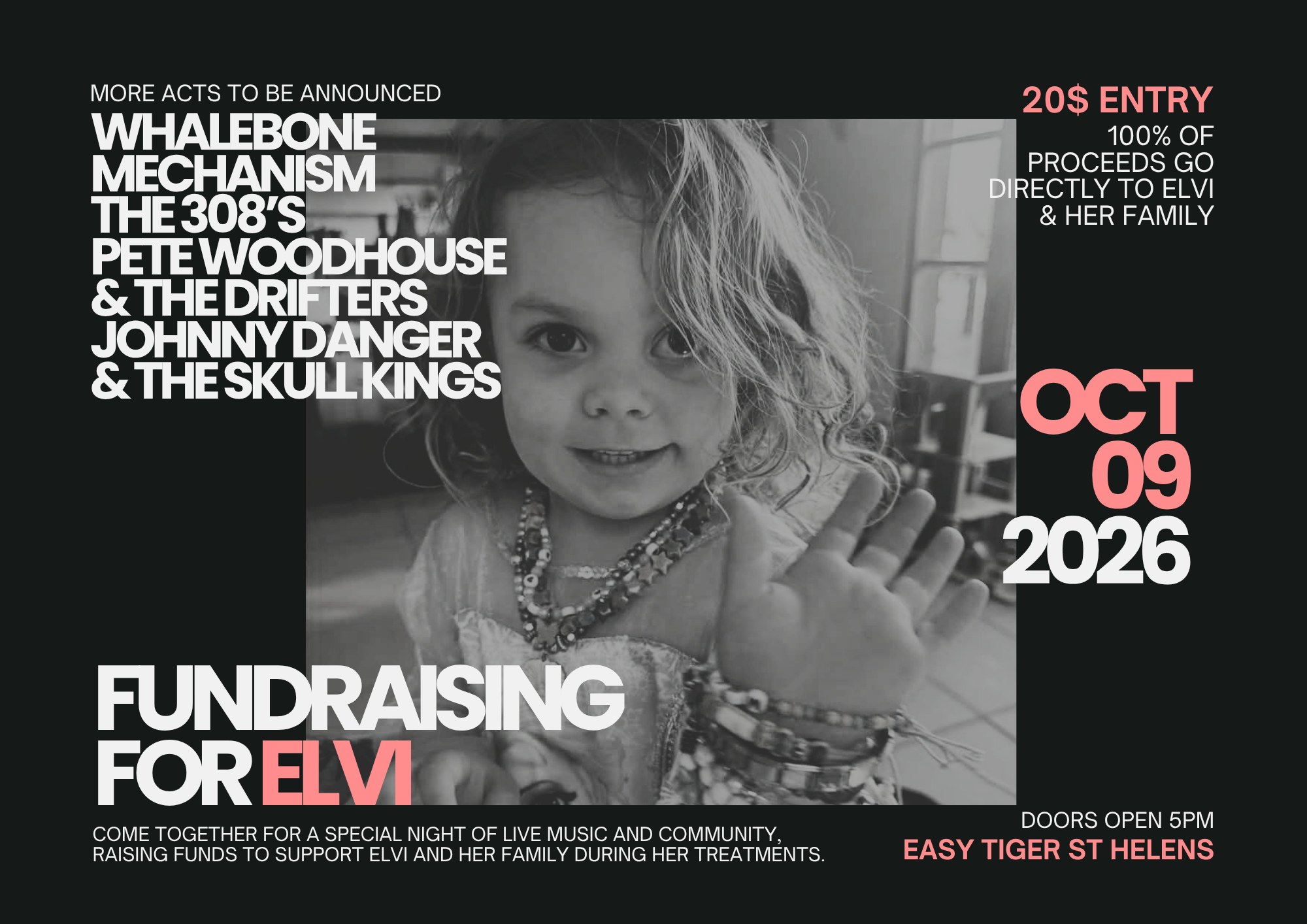 Fundraising for Elvi