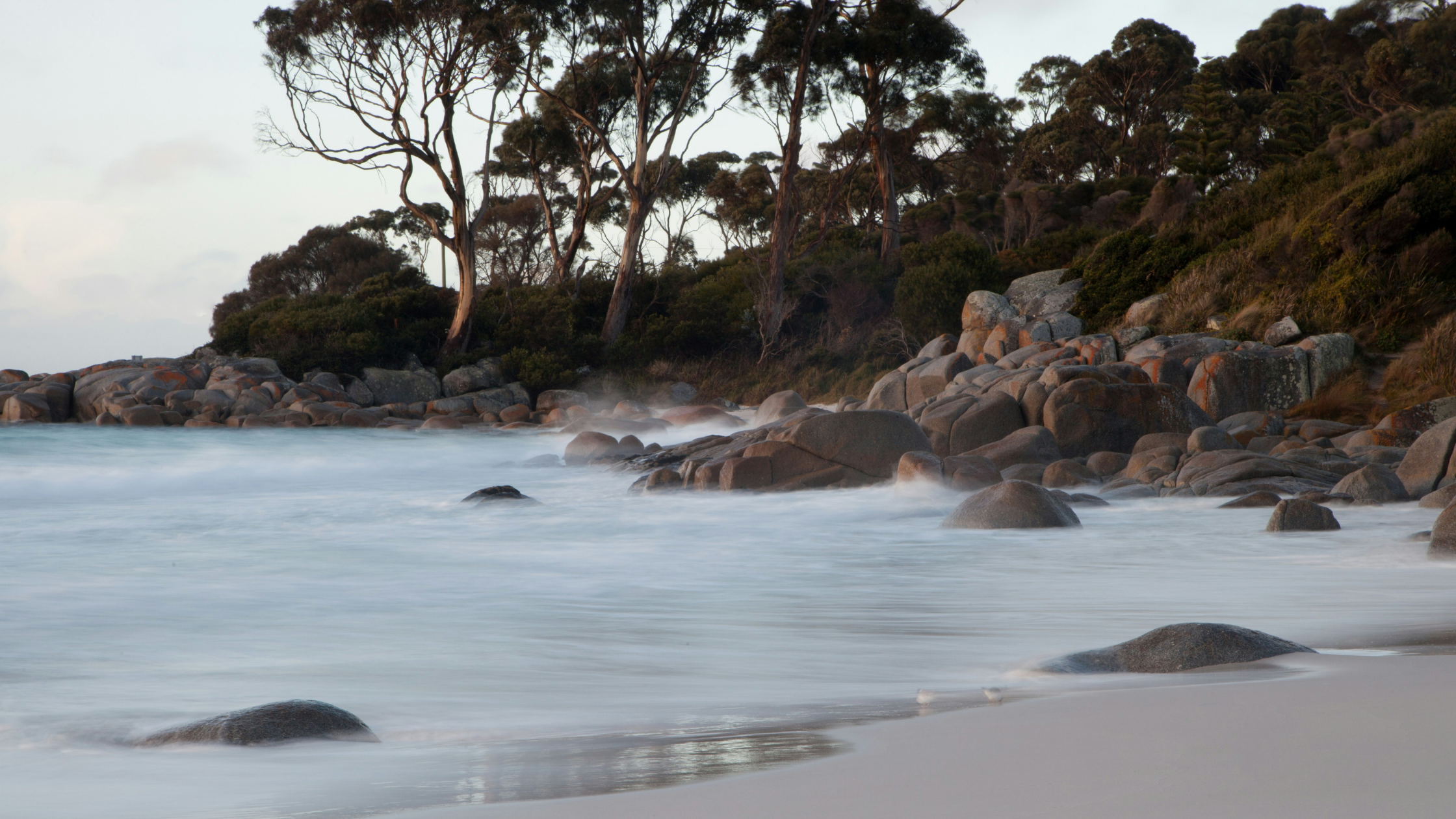 Bay of Fires coastline near Binalong Bay in winter Tasmania.