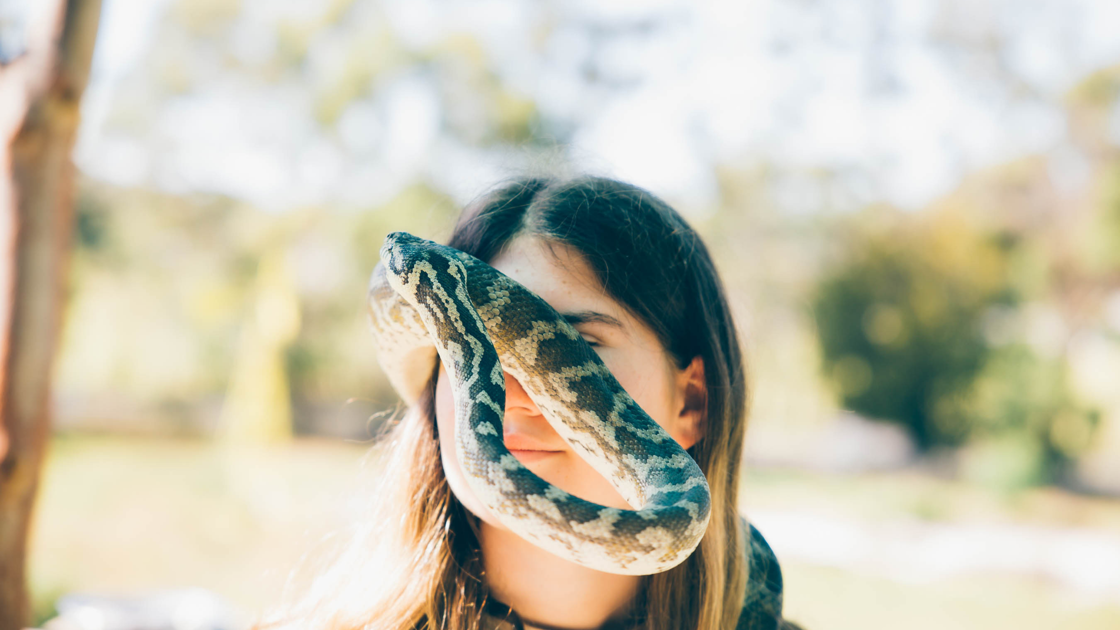 Visitor holding a python at Serpentarium Wildlife Park in St Helens.