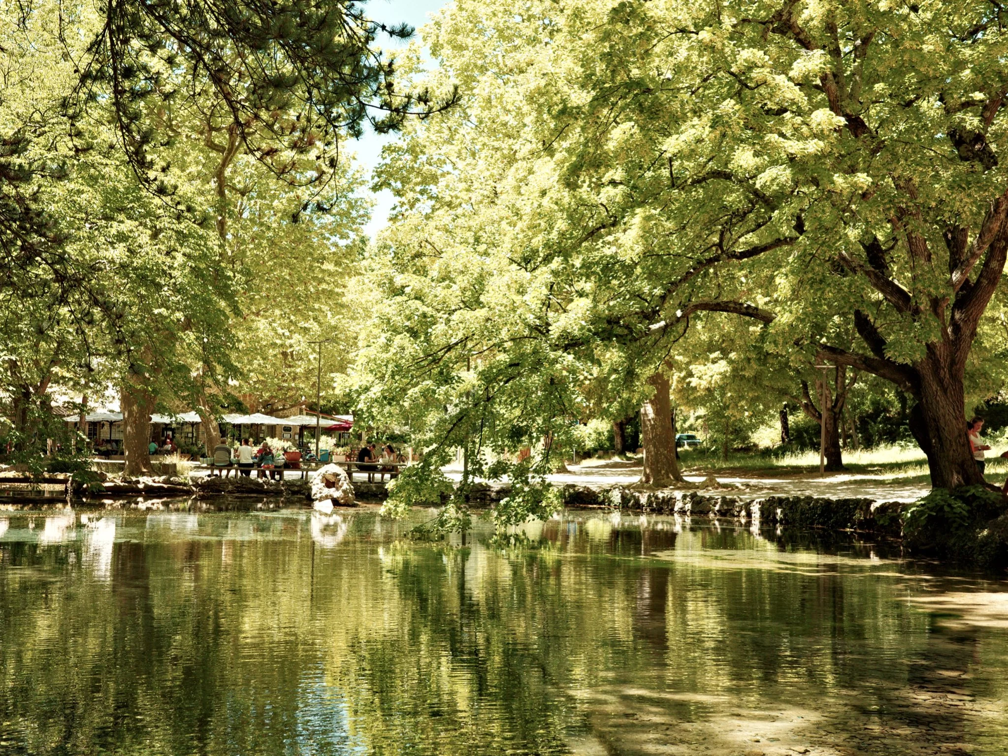 Blank Book Landscape.55.jpeg