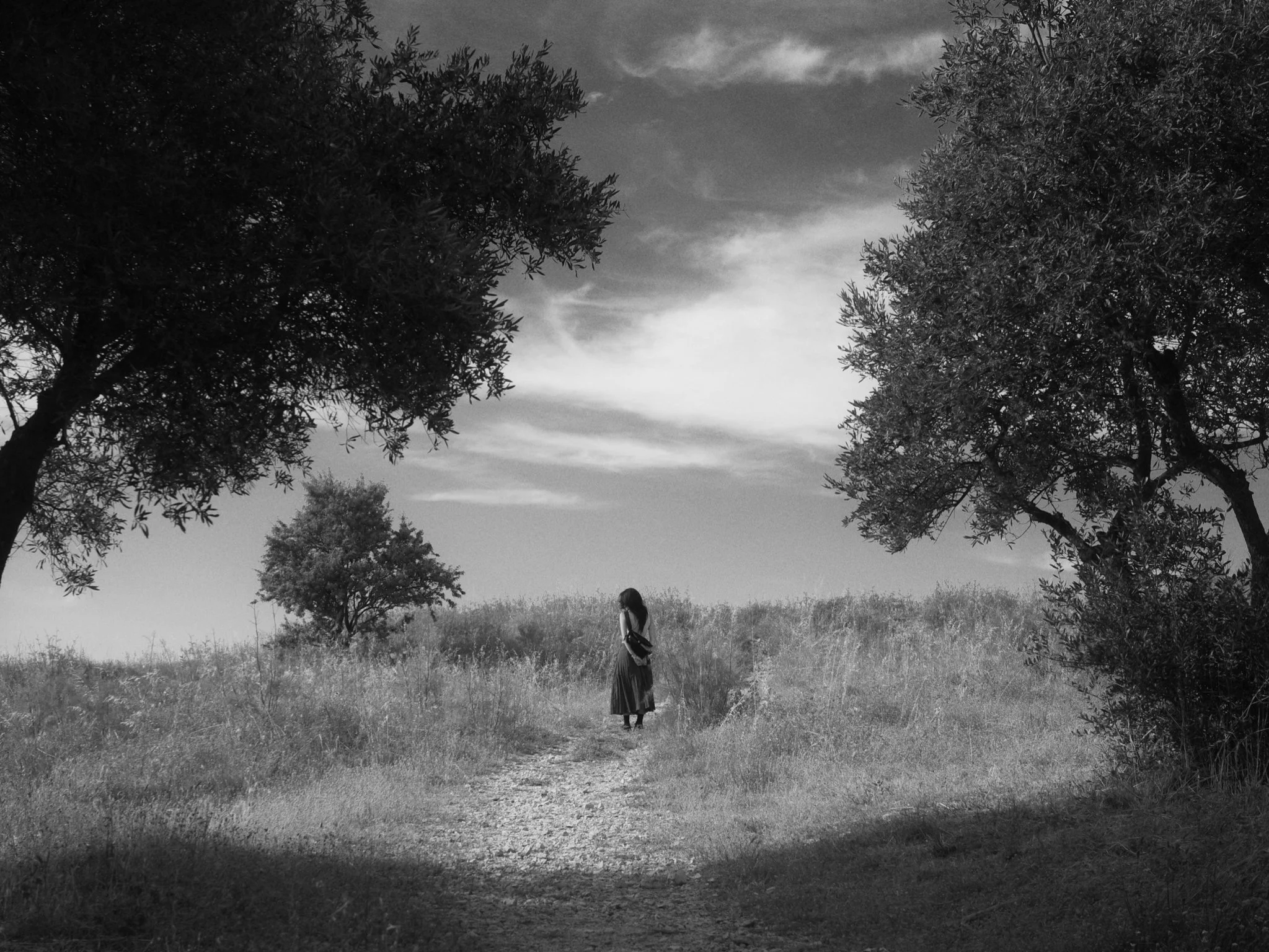 Blank Book Landscape.57.jpeg