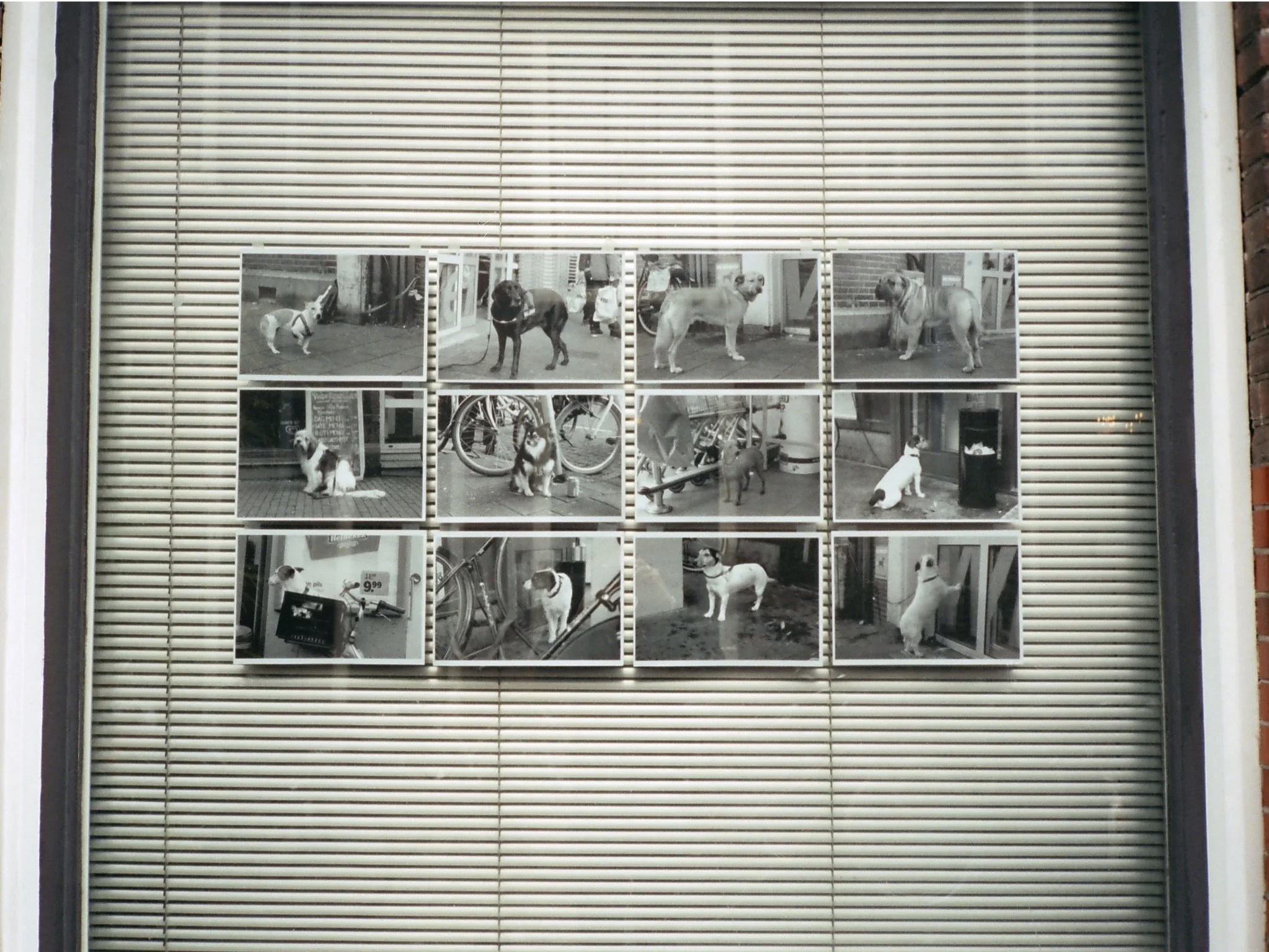 Blank Book Landscape.72.jpeg