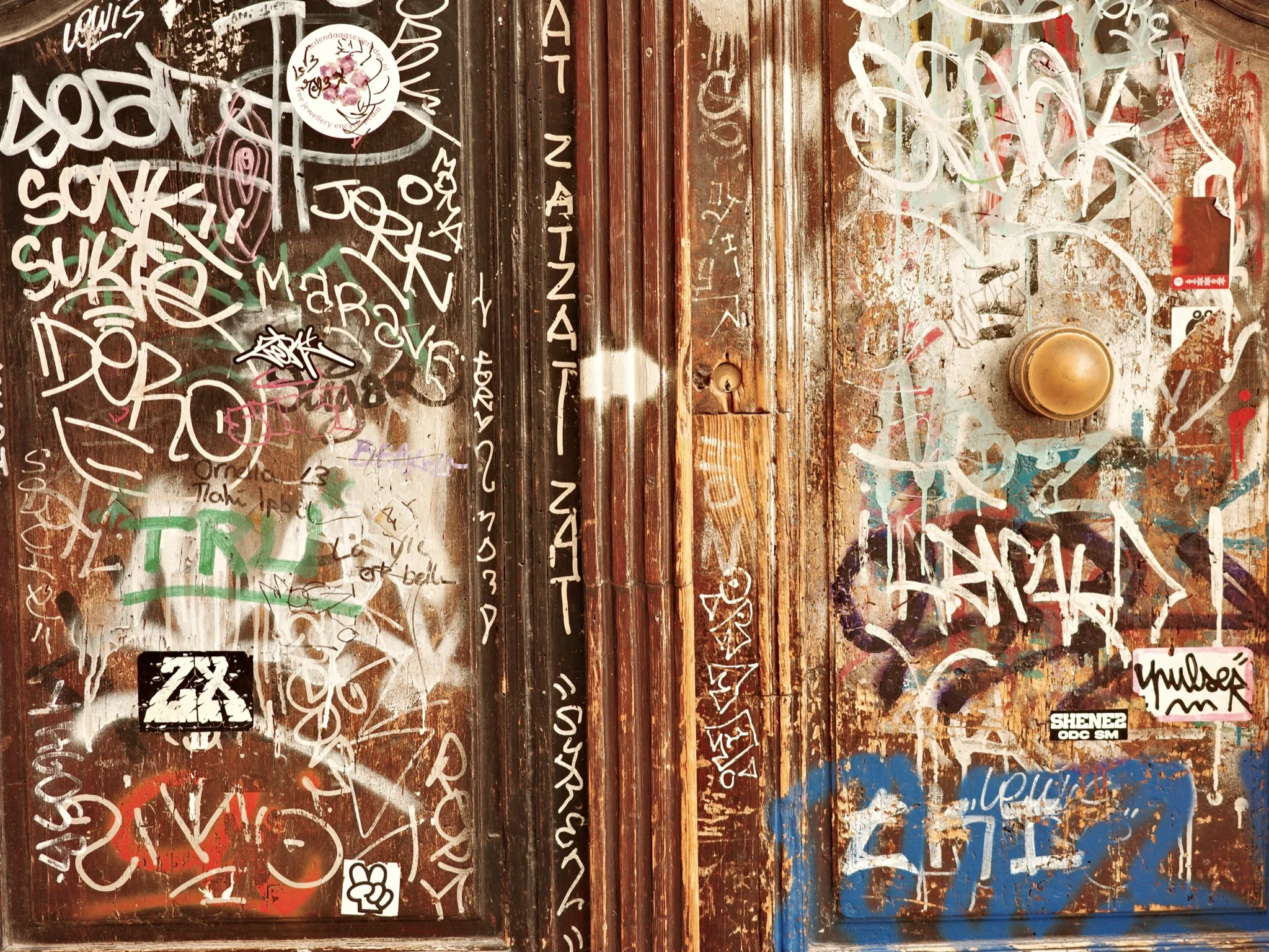 Blank Book Landscape.56.jpeg