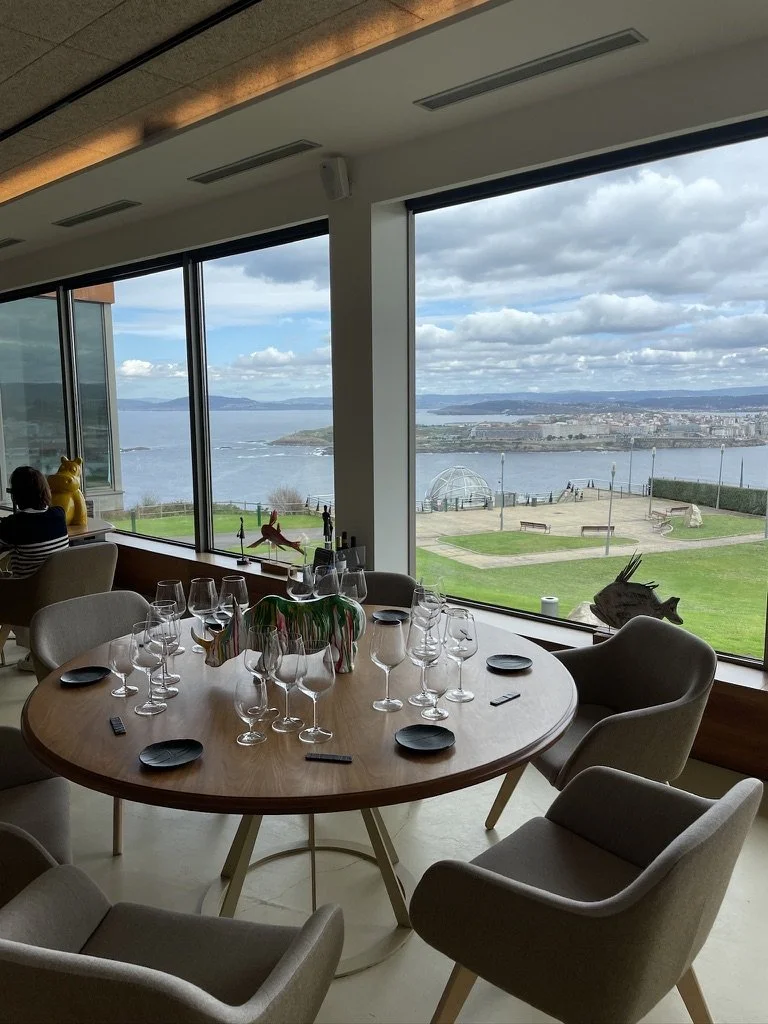 Árbore Da Veira_4.jpeg