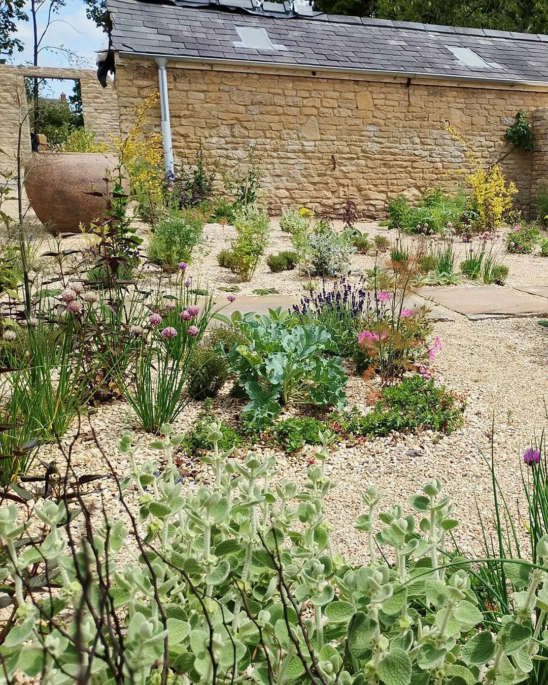 Freshly planted and growing beautifully - the Medicinal Garden at one of our Oxfordshire projects.  This space is planted exclusively with species that can be eaten, used for tinctures, or turned into herbal medicines and was loosely inspired by medi