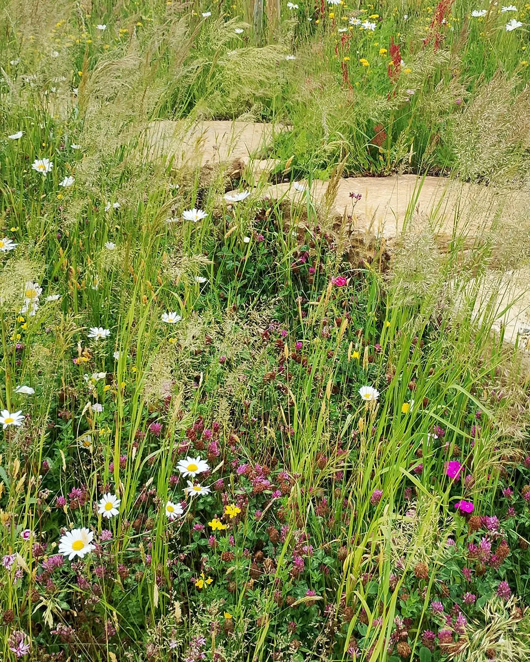 Some sneak previews of one of our extensive Oxfordshire projects coming to life.  Large, locally-sourced boulders offer a simple solution for retaining this sloping part of the garden without the need for any additional materials or demand for cement