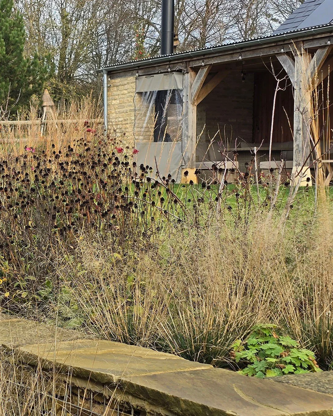 November is still beautiful in this Oxfordshire garden.  Planted this spring, it's already showing up for autumn colour and winter structure - something this garden has been sorely missing for the last few years as extensive renovations and the garde