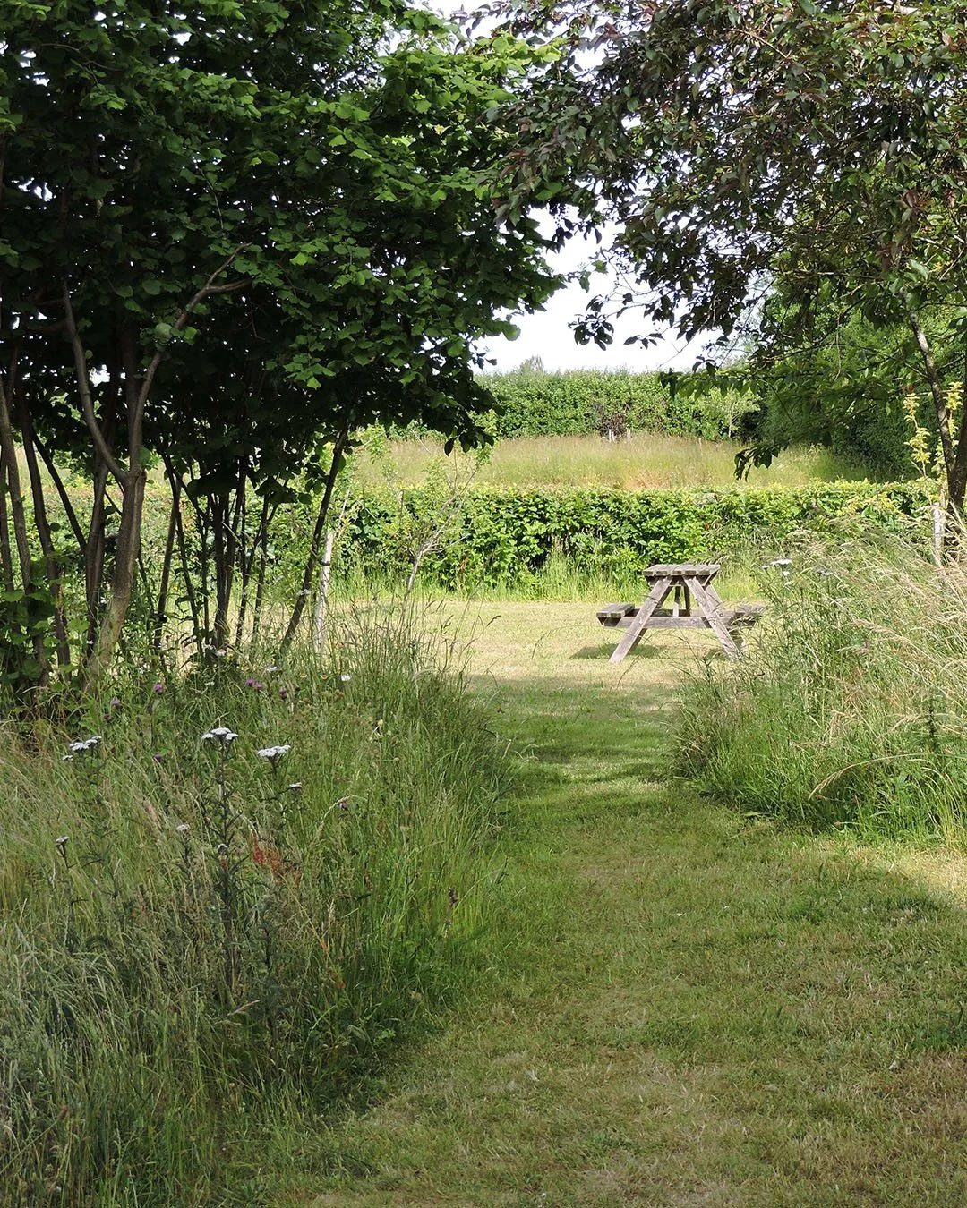 Elements of one of our Cambridgeshire wildlife gardens.⁠
Gardens as relaxed and nourishing as this don't need constant attention and won't cost the earth, literally.⁠
⁠
🍃 Green structure negates the need for fencing and is permeable to wildlife⁠
🍃 