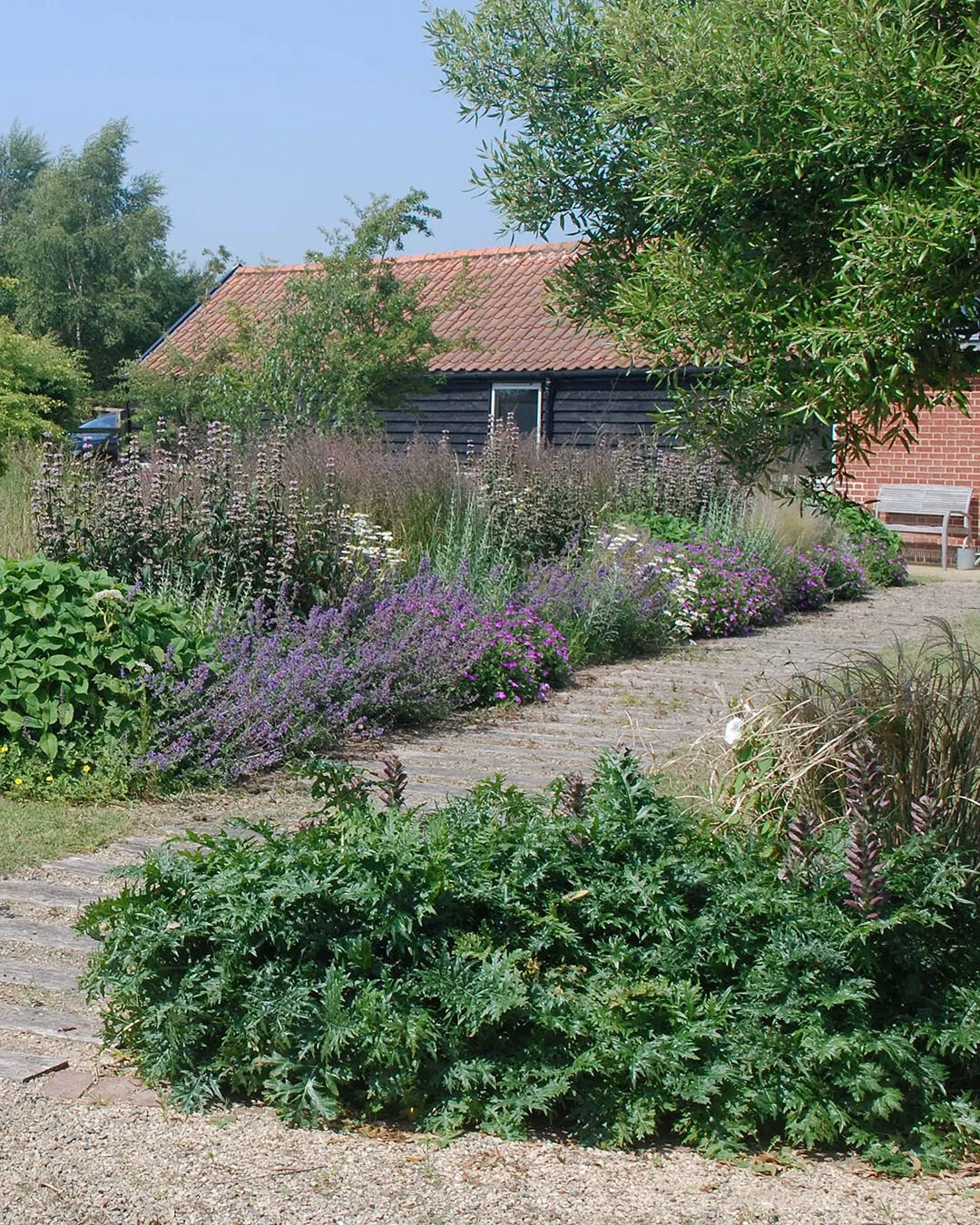 Layers and sprawling pathways in our rural Suffolk project this Summer.⁠
This broad stroke design features deep perennial borders, rustic paths and layers of grassland.⁠
⁠
Multistem birch and other native trees are nestled in the long grass, separate