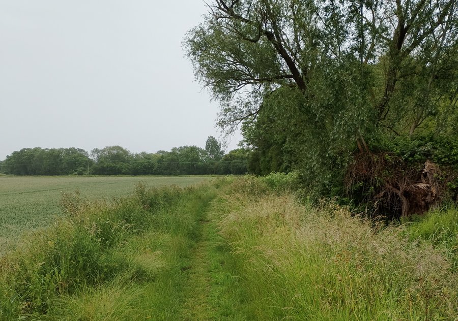 Cambridgeshire Footpaths - Little Thetford