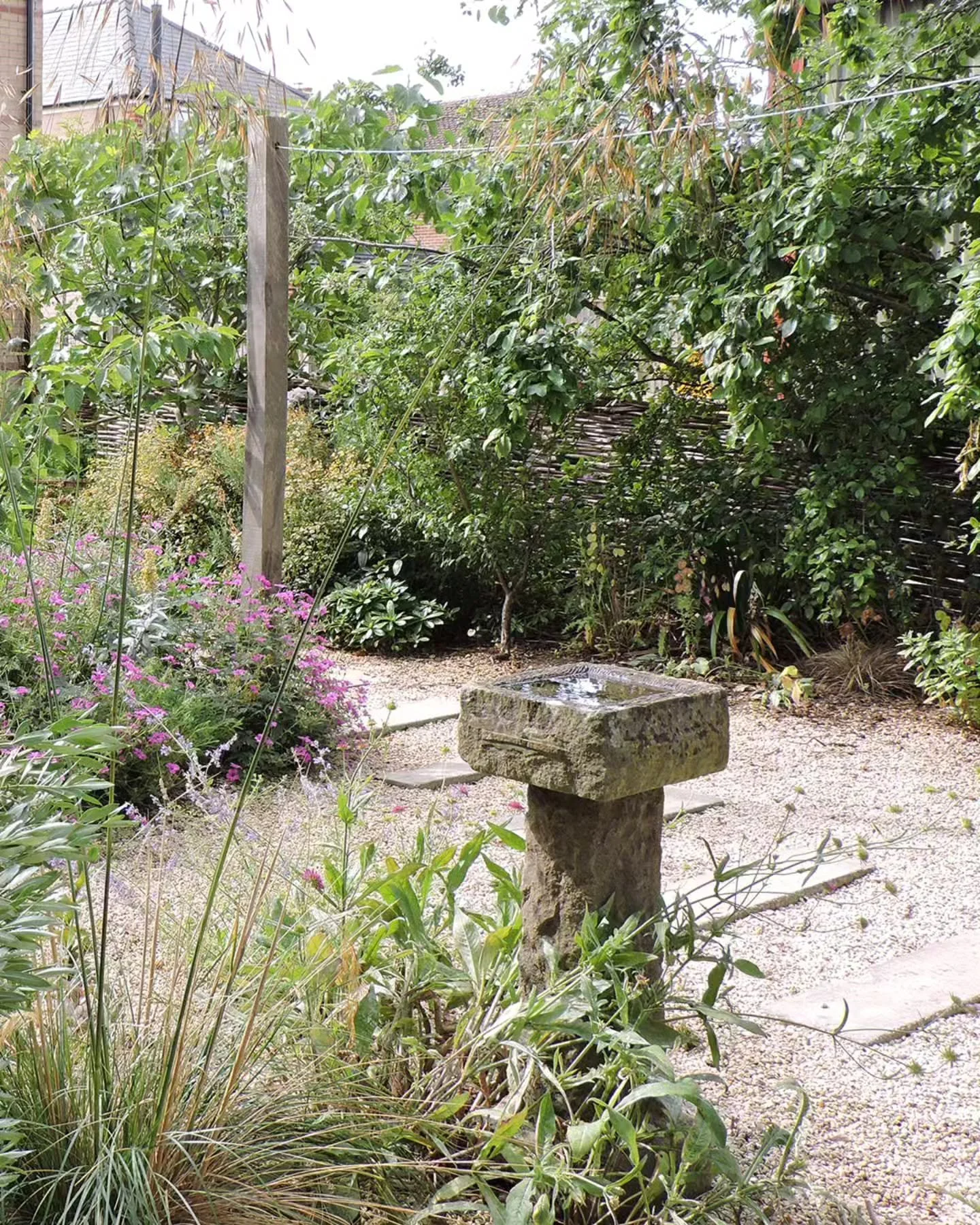 After two consecutive nights of light rain, I feel the relief of sensing moisture in the garden. Throughout the last few months of drought and heat, I know that if I am thirsty, I can turn on a tap and drink. With a scarcity of natural bodies of wate